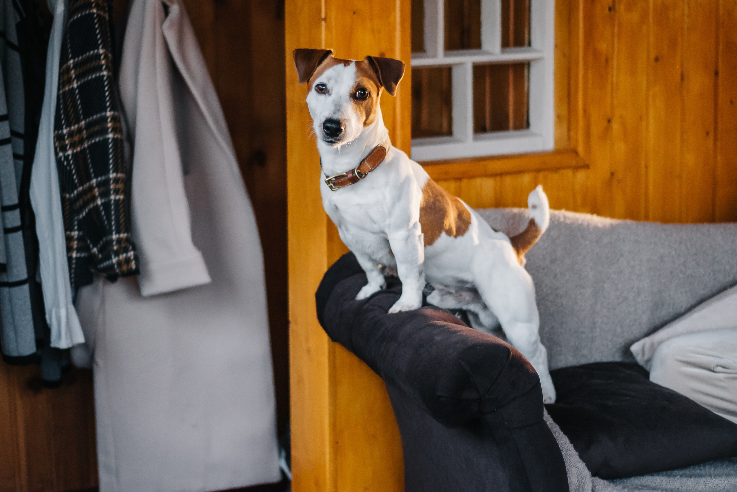 Маша и Кэш. Фотограф Светлана Киселева