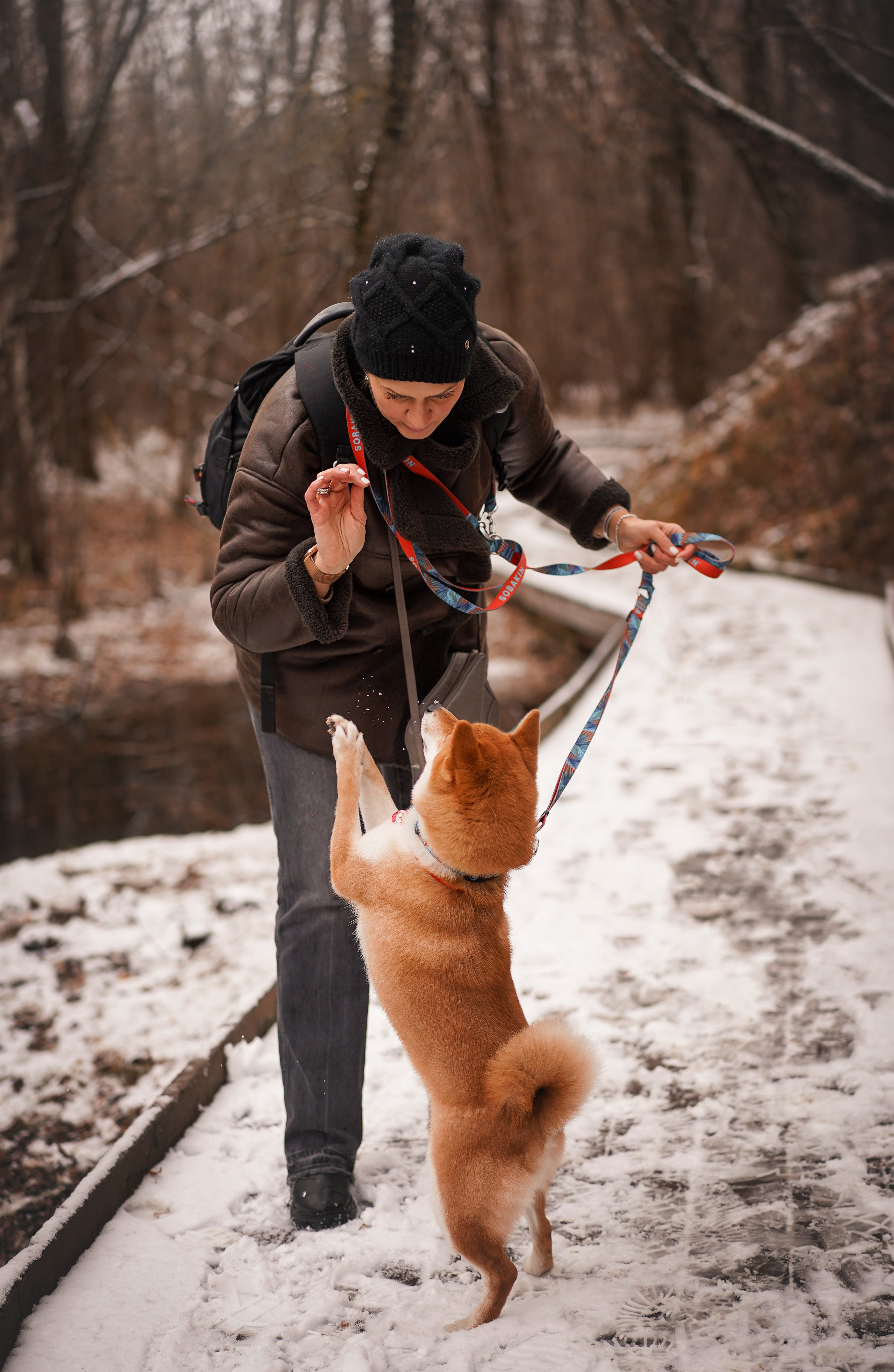 Алина и Юми. Фотограф-анималист в Санкт-Петербурге Яна Мартынова