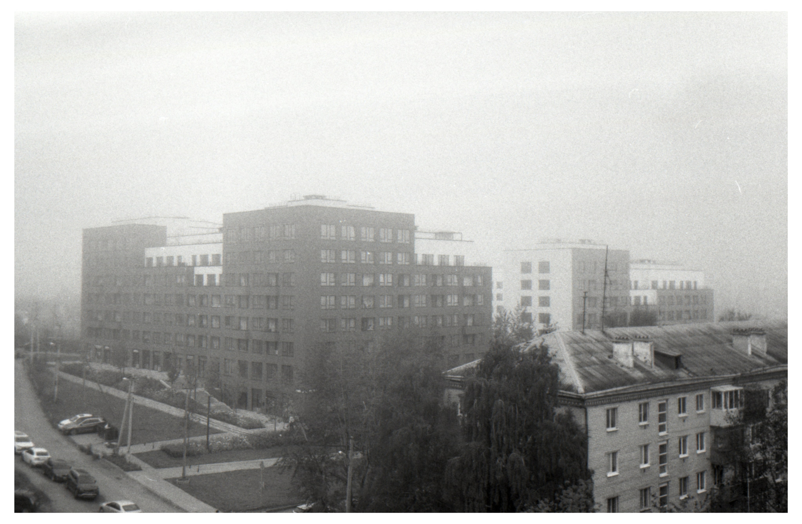 Туман осенью 2024