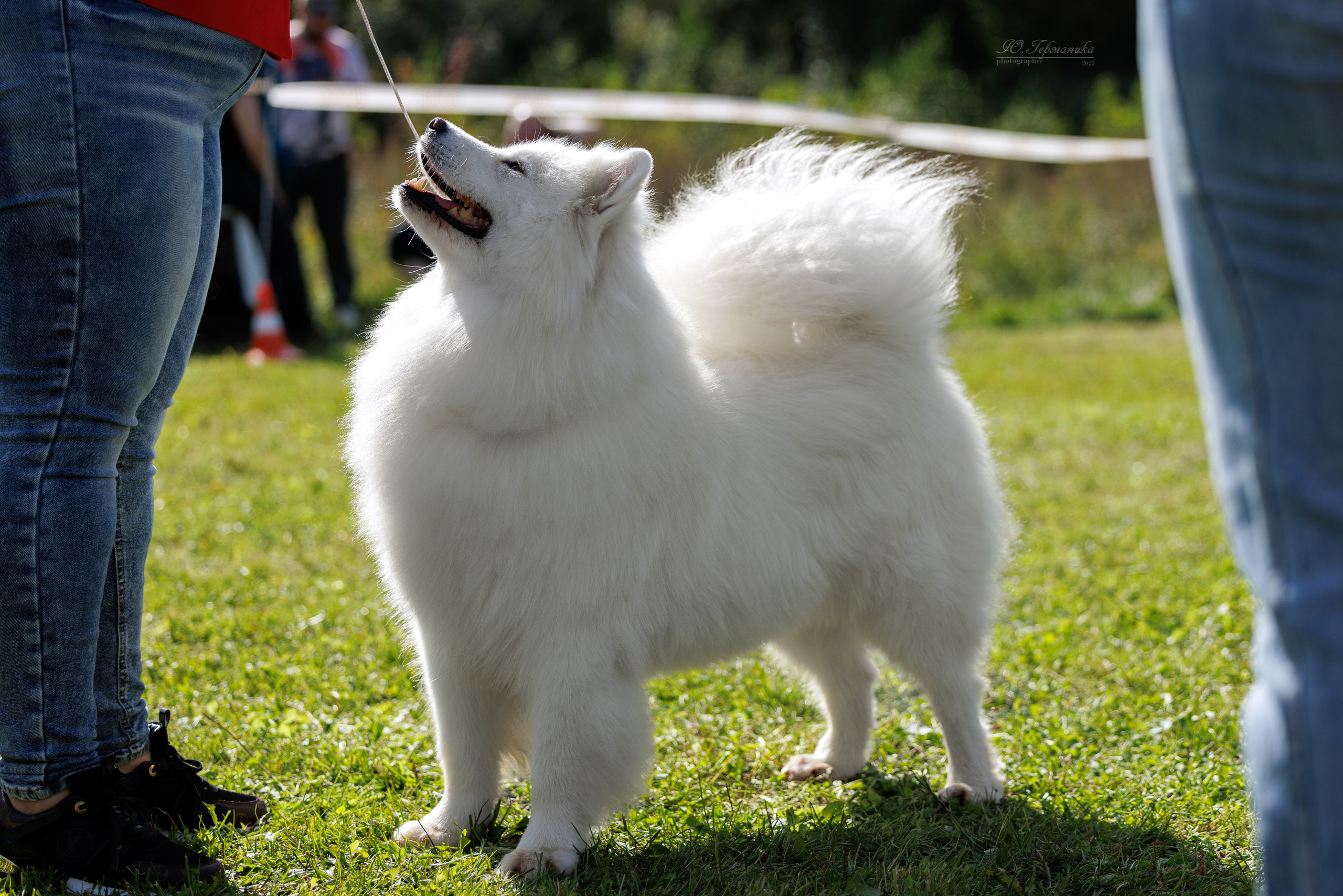 Зеленоград 13.09.2025. Фотограф-анималист Юлия Германика