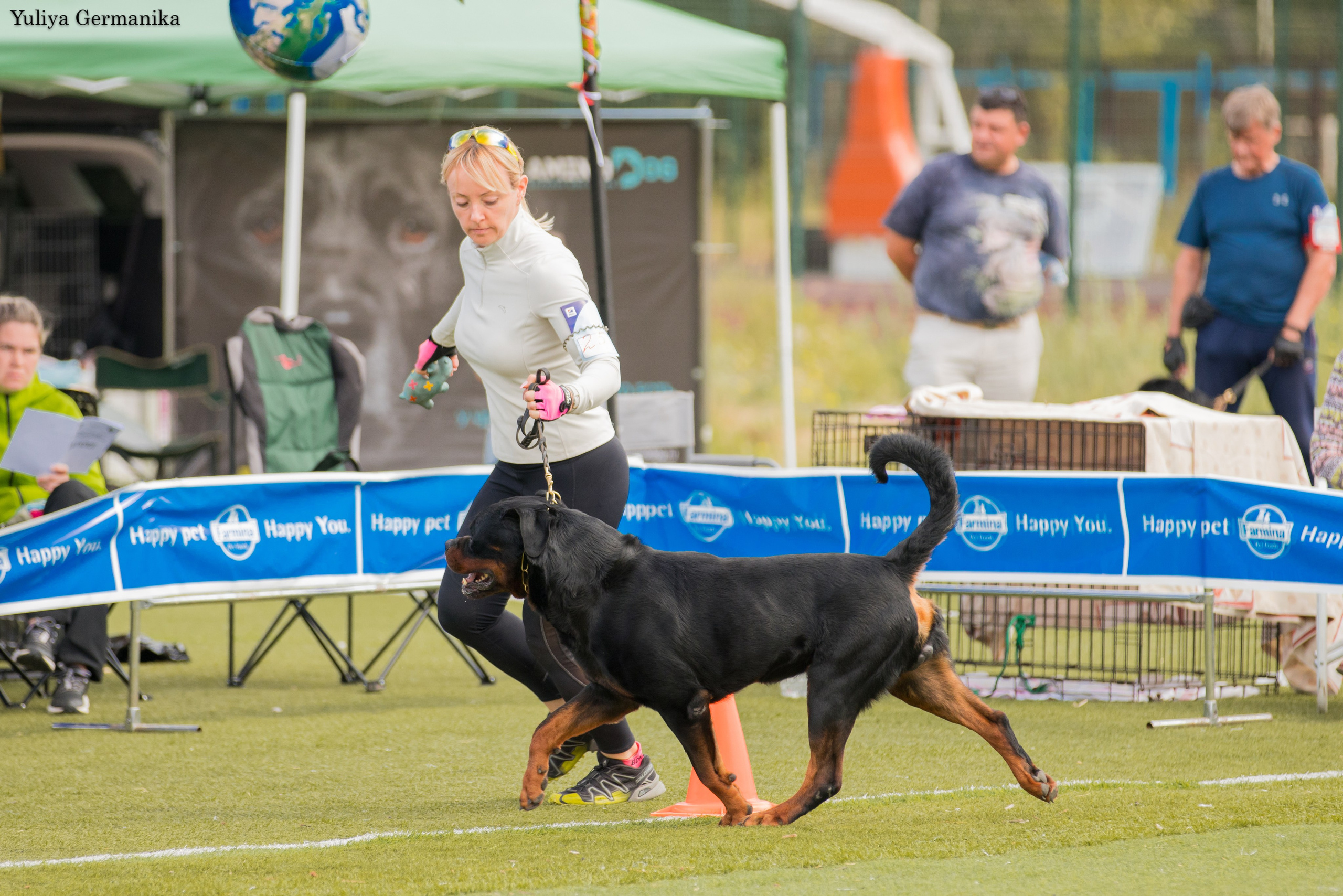 Анапа 16-17.09.2023 моно ротвейлеров. Фотограф-анималист Юлия Германика