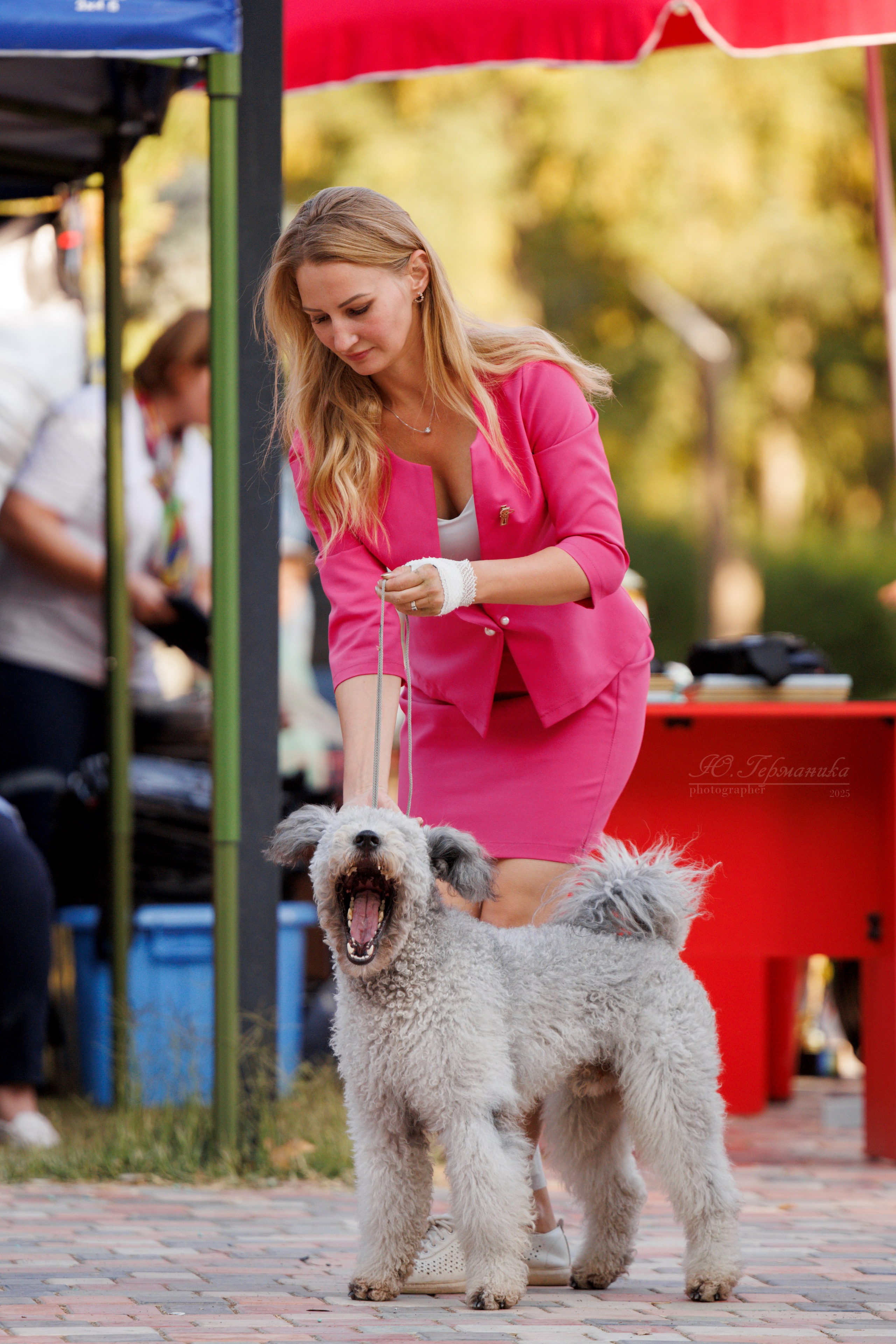 Ташкент 3хCACIB 3-5.10.2025. Фотограф-анималист Юлия Германика
