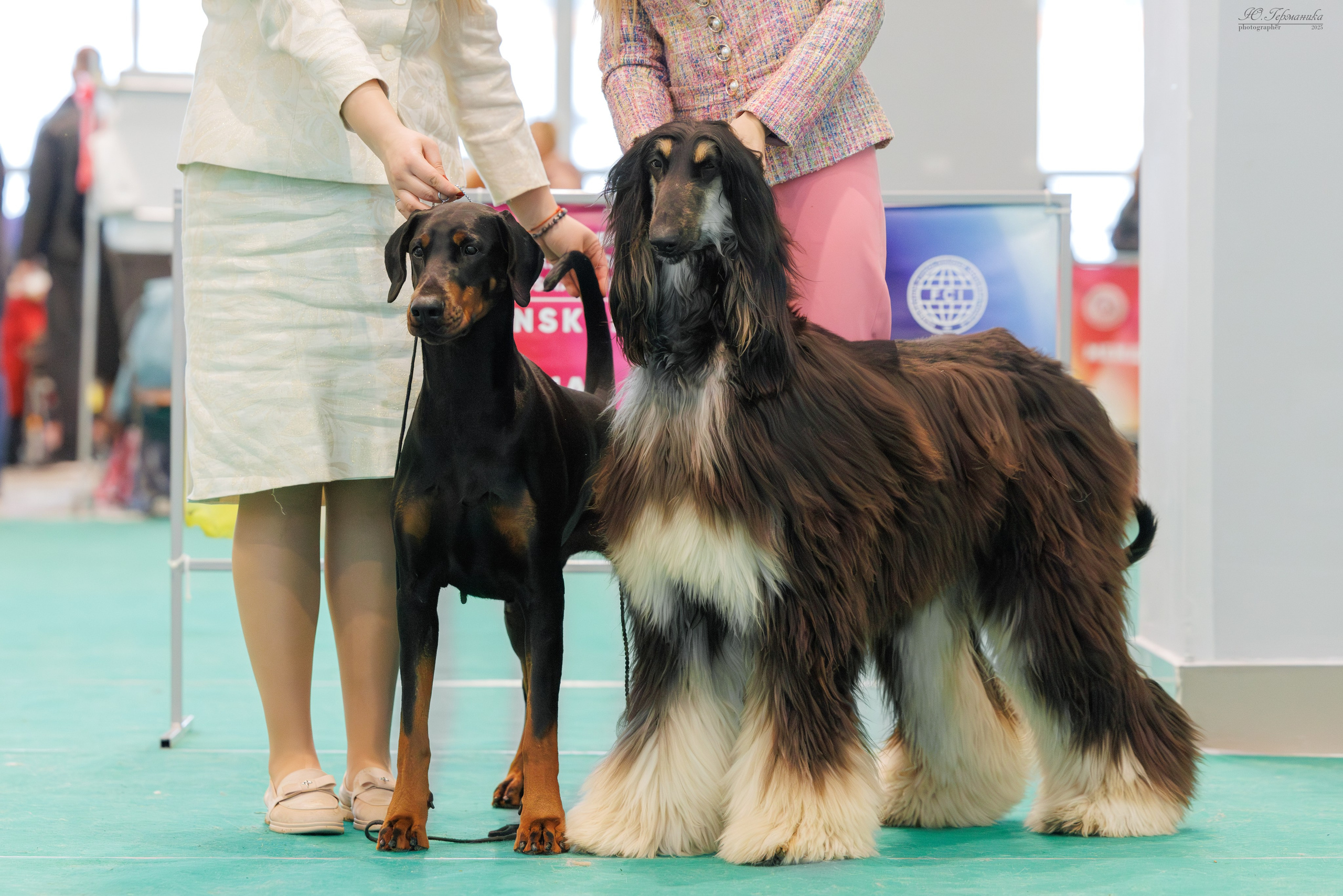 Минск 1-2.03.2025. Фотограф-анималист Юлия Германика