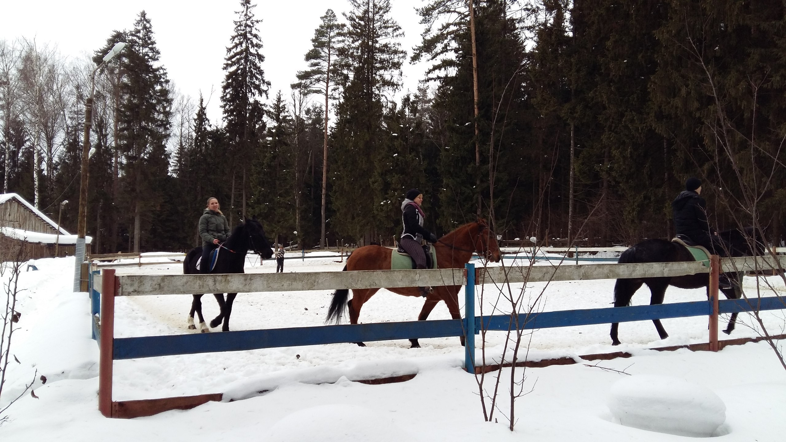 Активные выходные |18-19.02.2017. Галерея Фантим