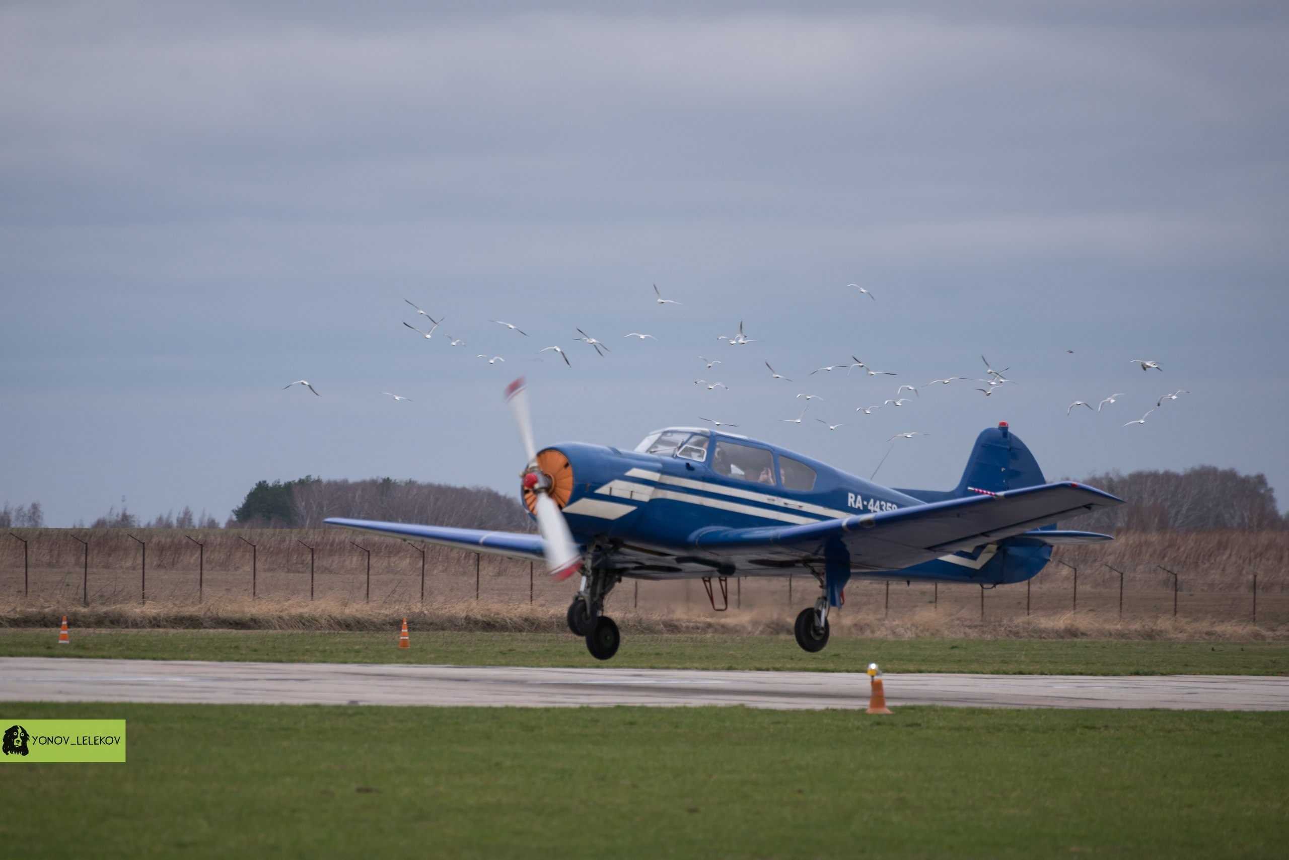 Полеты на Як 18Т. Высший пилотаж | 22.04.2018. Галерея Фантим
