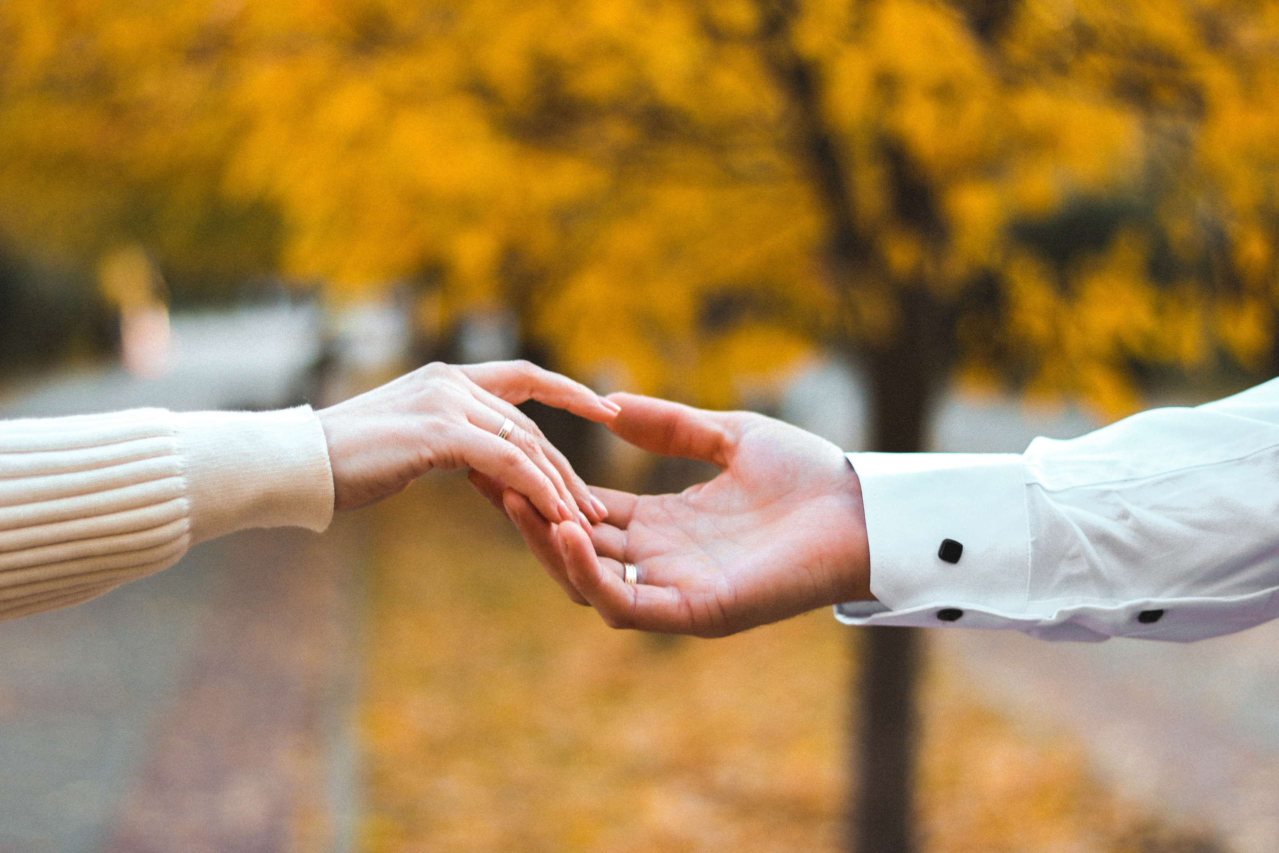 Свадебная съёмка, тут про любовь. Слава Лерина. Фотограф. Ростов-на-Дону