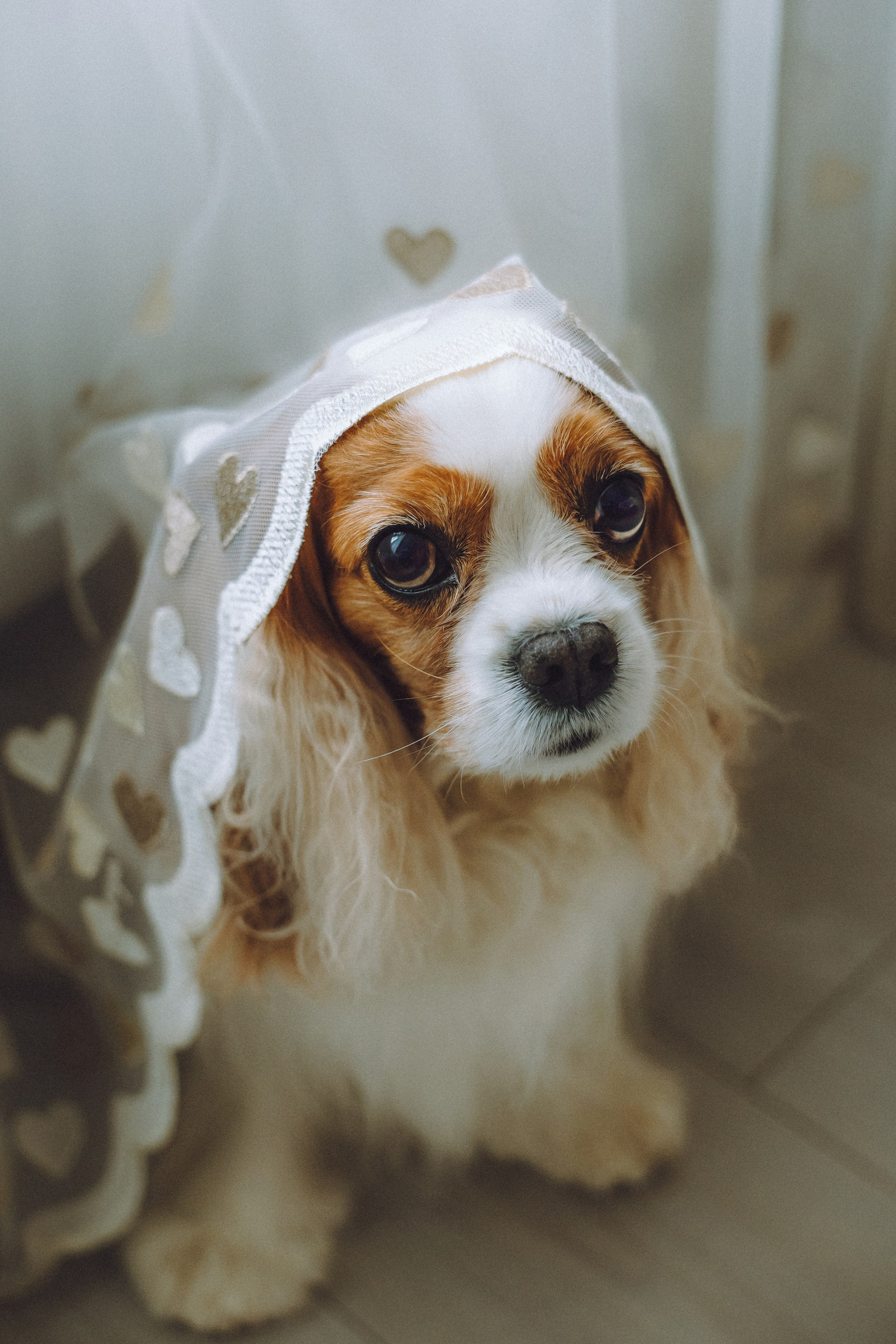 Наташа и Вики