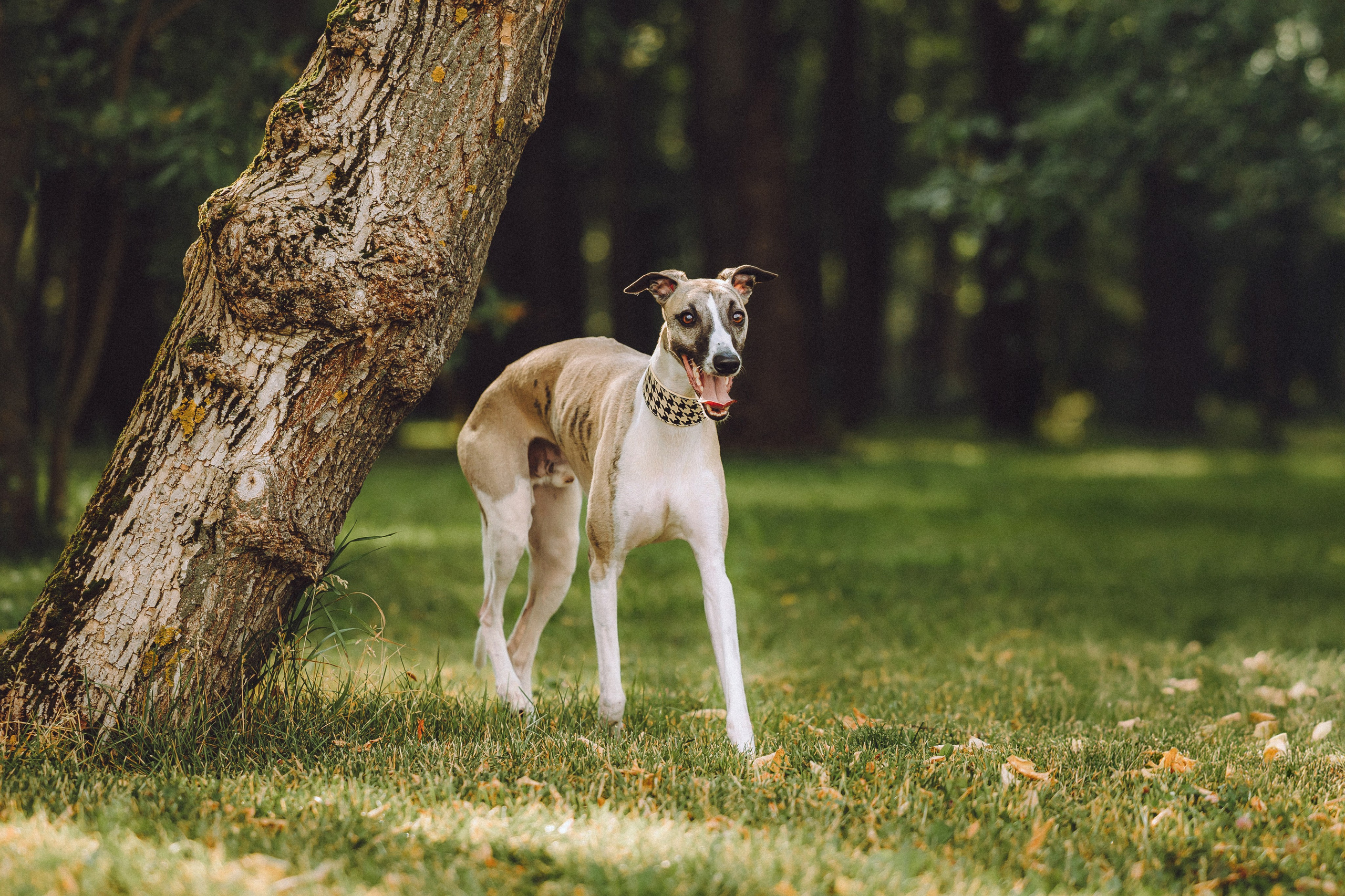 Ирина, Илья и Рик