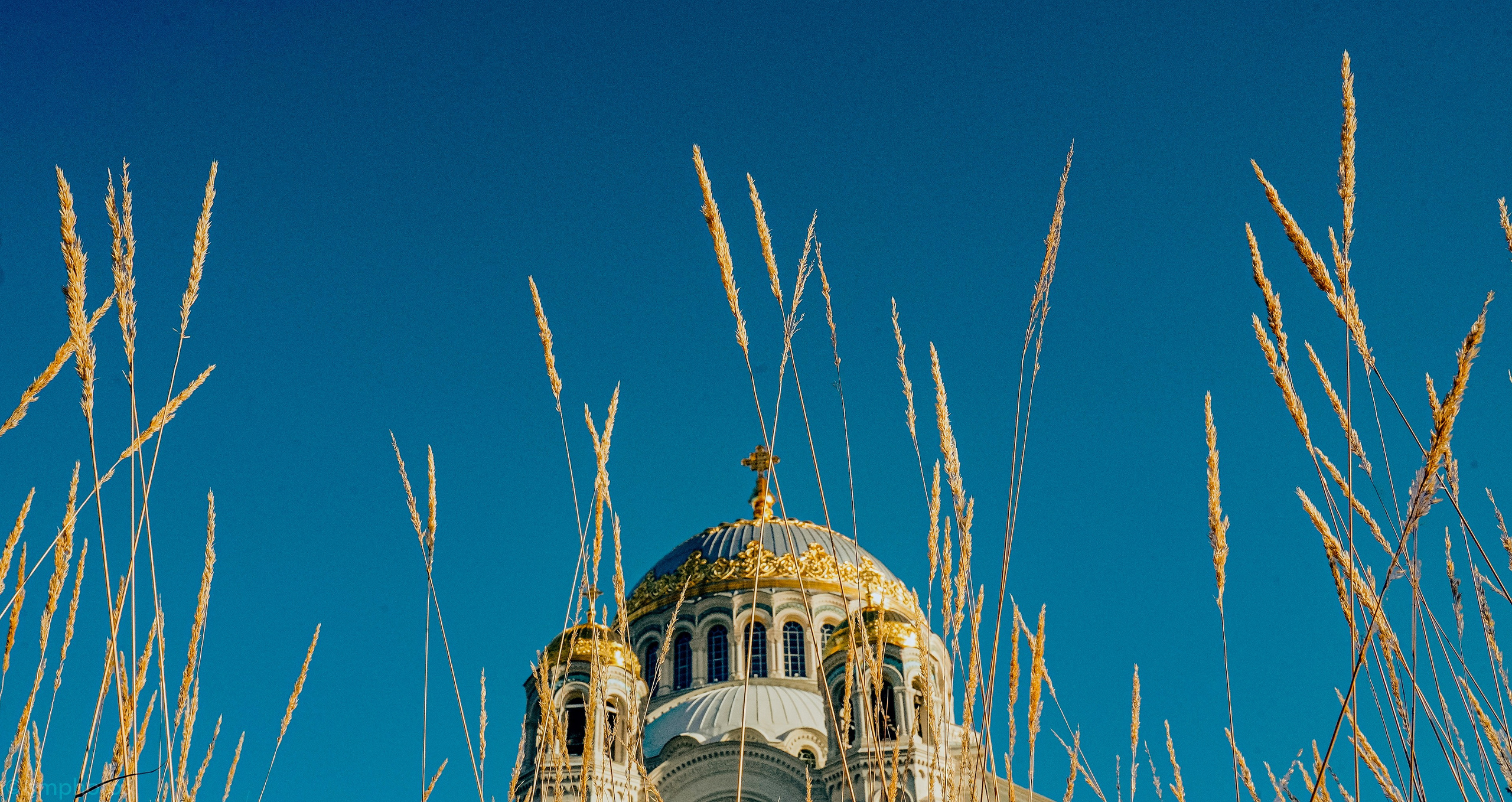 Уличная и репортажная фотография. Репортажный фотограф в Москве Светлана Мулыкина