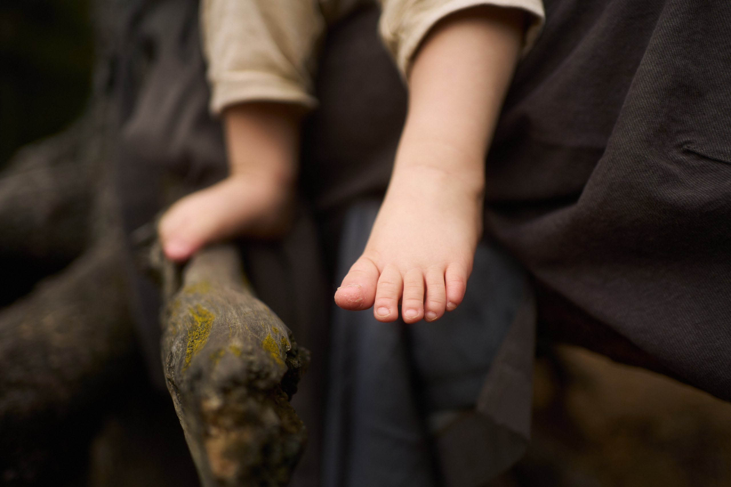 Печенье в песке. Фотограф анималист Москва Дарья