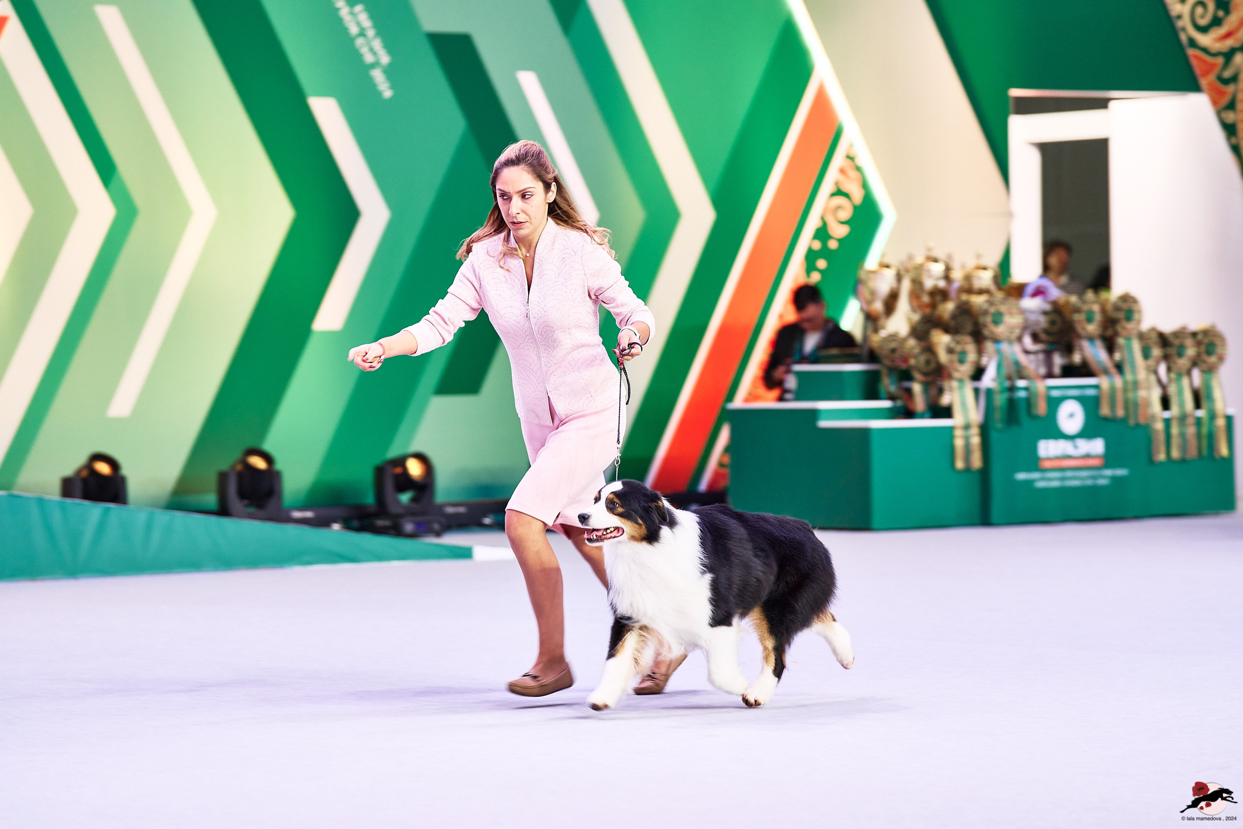 16.11.2024 «ЕВРАЗИЯ. КУБОК ПРЕЗИДЕНТА РКФ 2024»