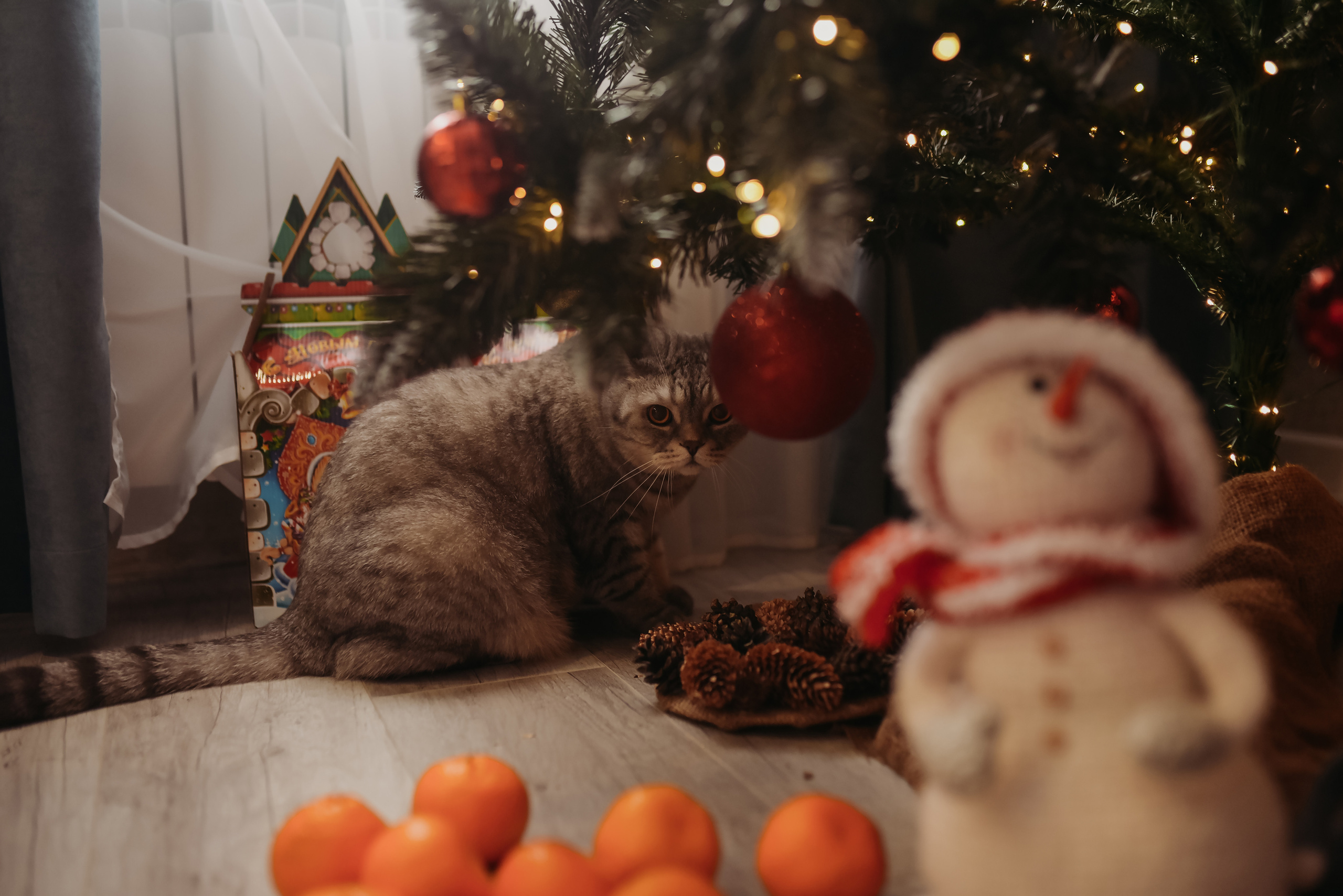 Домашняя история. Семейный фотограф Олеся Батурина Рязань