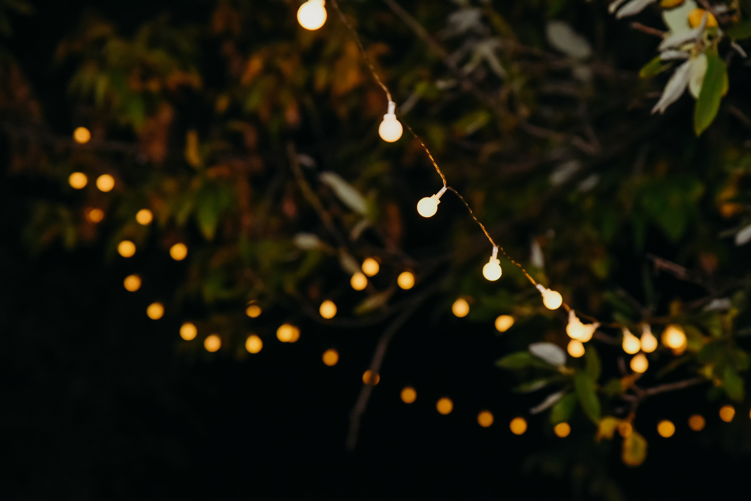 Ольга & Рома. Семейный фотограф Олеся Батурина Рязань