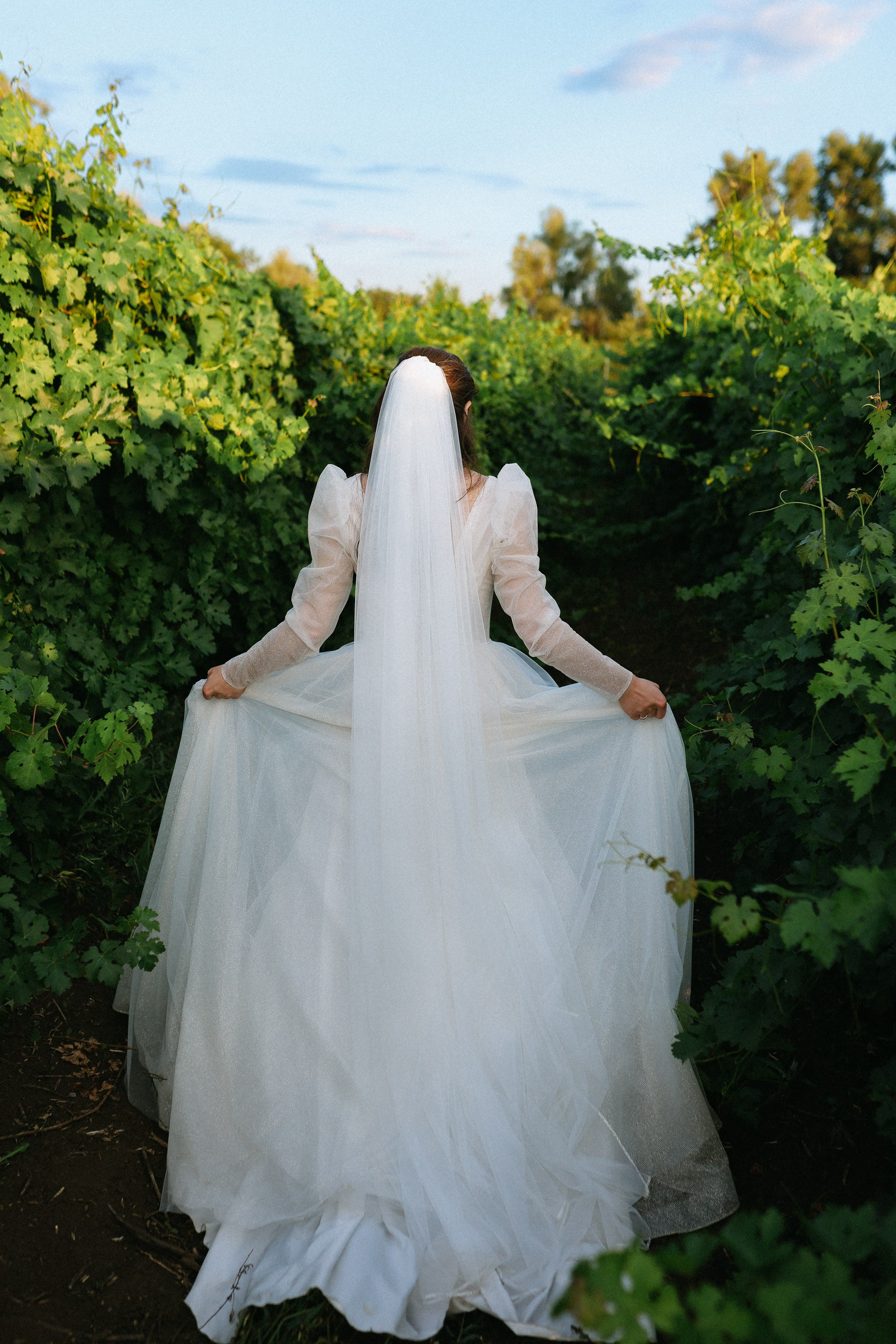 Полина и Дмитрий. Свадебный фотограф Волгоград и Волжский Евгения Кимлач