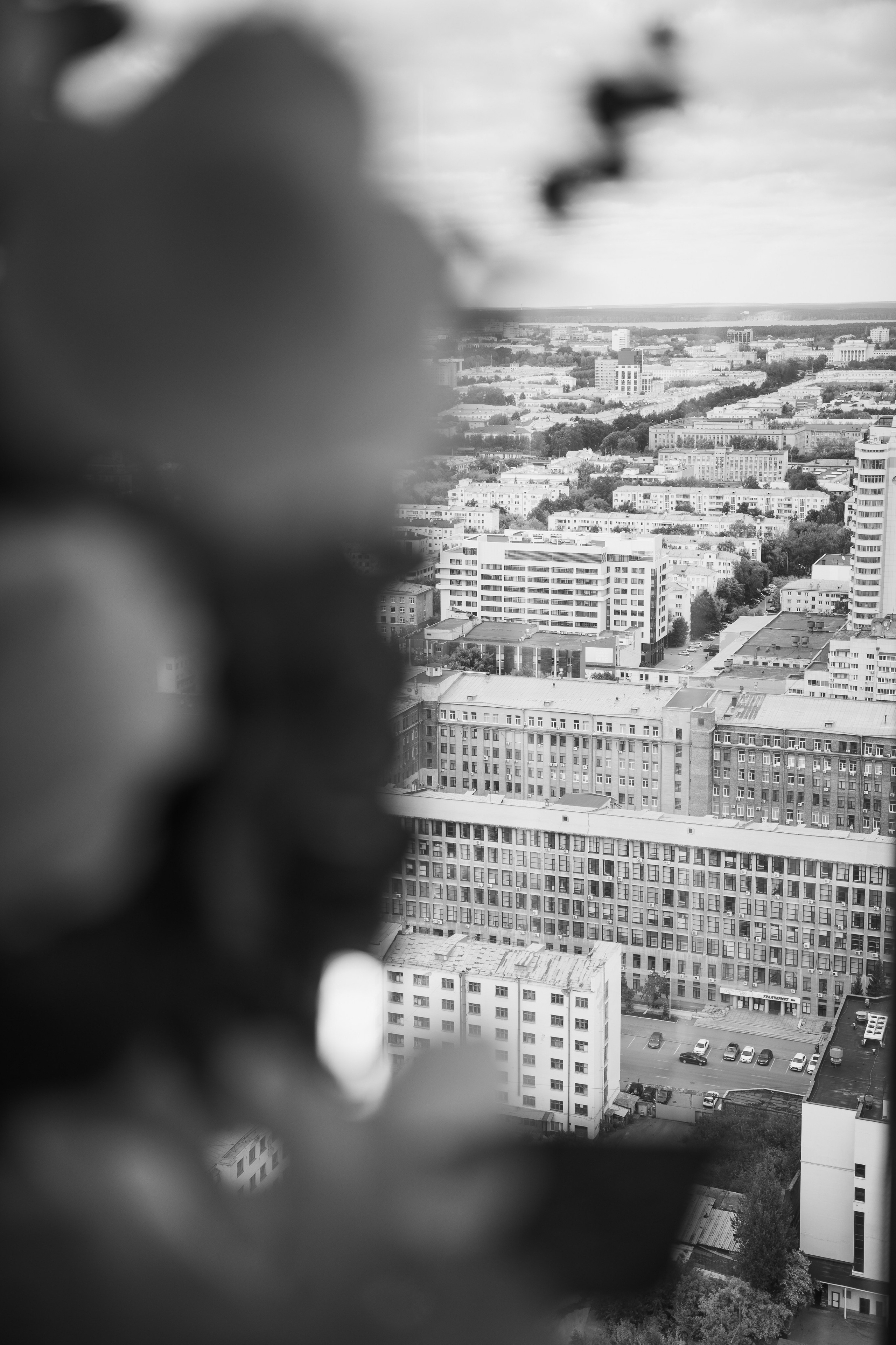 Свадебная съемка. Фомина Елена Свадебный и семейный фотограф