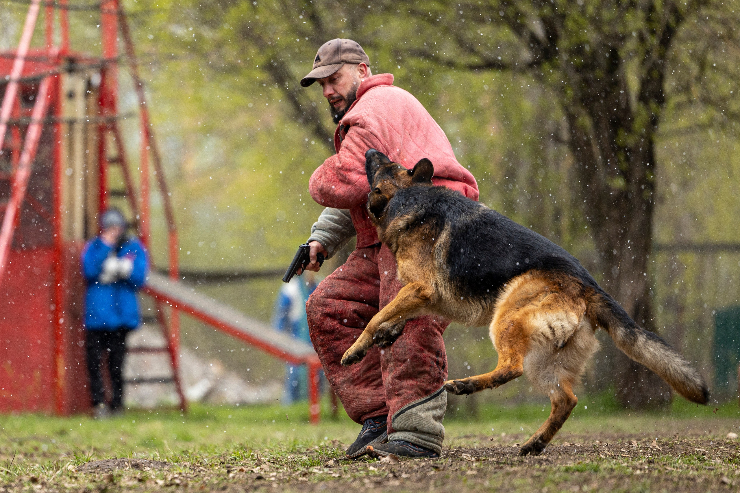 Квалификационные состязания по мондьорингу г. Вологда 11.05.24. Фотограф-анималист Анна Маринич