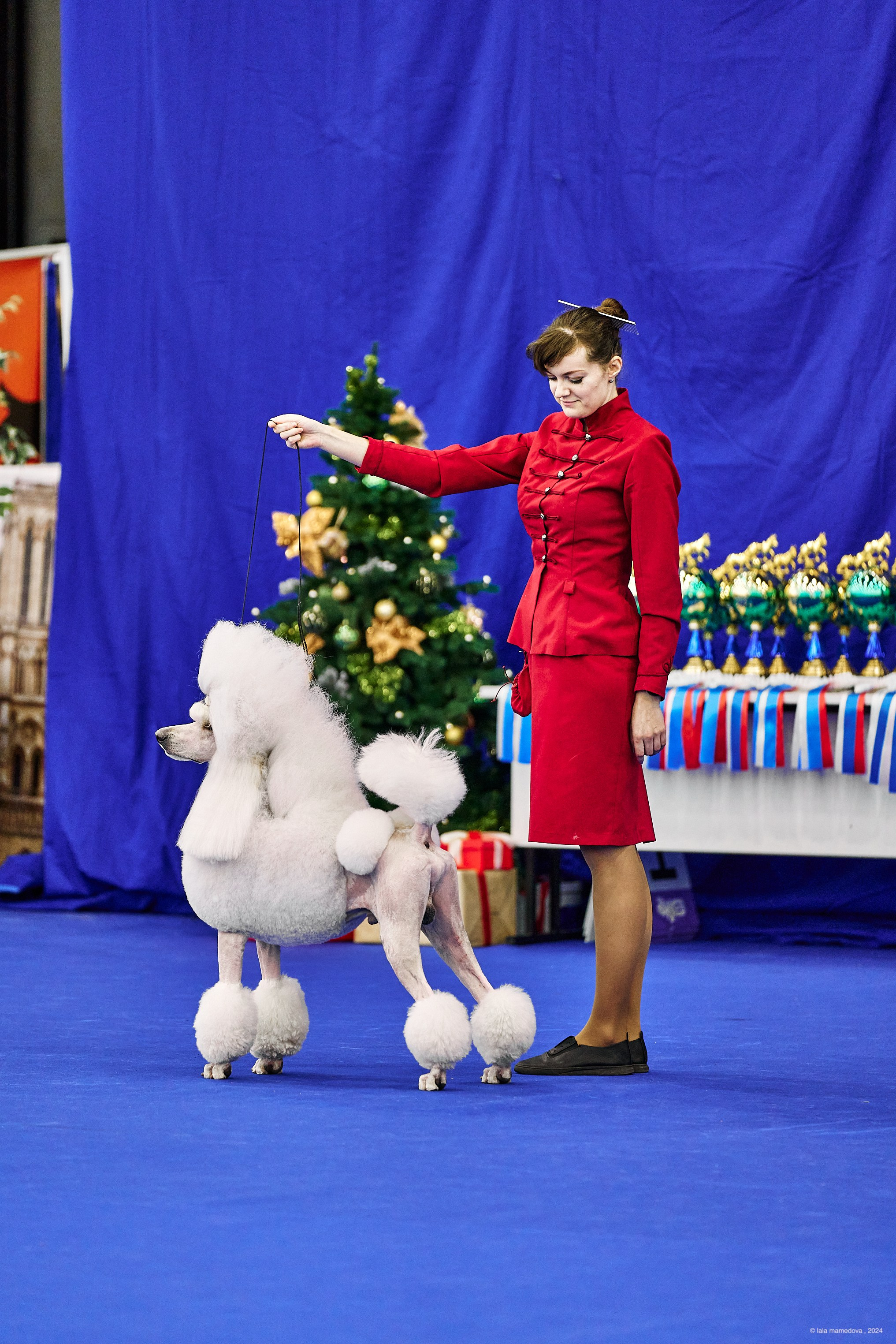 РЕЙТИНГОВАЯ ВЫСТАВКА СОБАК ВСЕХ ПОРОД С ОСОБЫМ СТАТУСОМ"НЕВСКИЙ ПОБЕДИТЕЛЬ-2024-1"