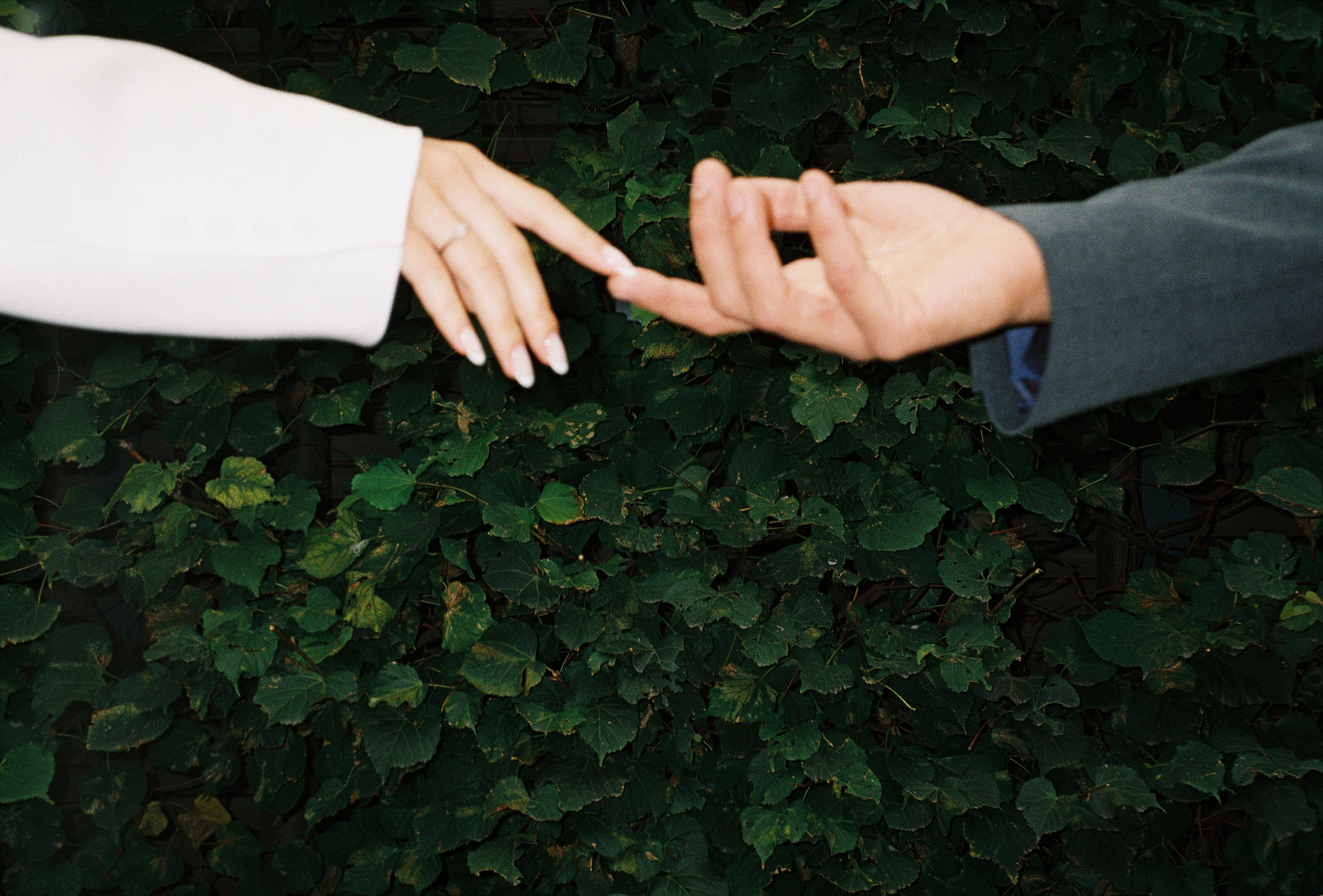 Пленка. Свадебный фотограф Москва Грузия Мотеюнайте Виктория