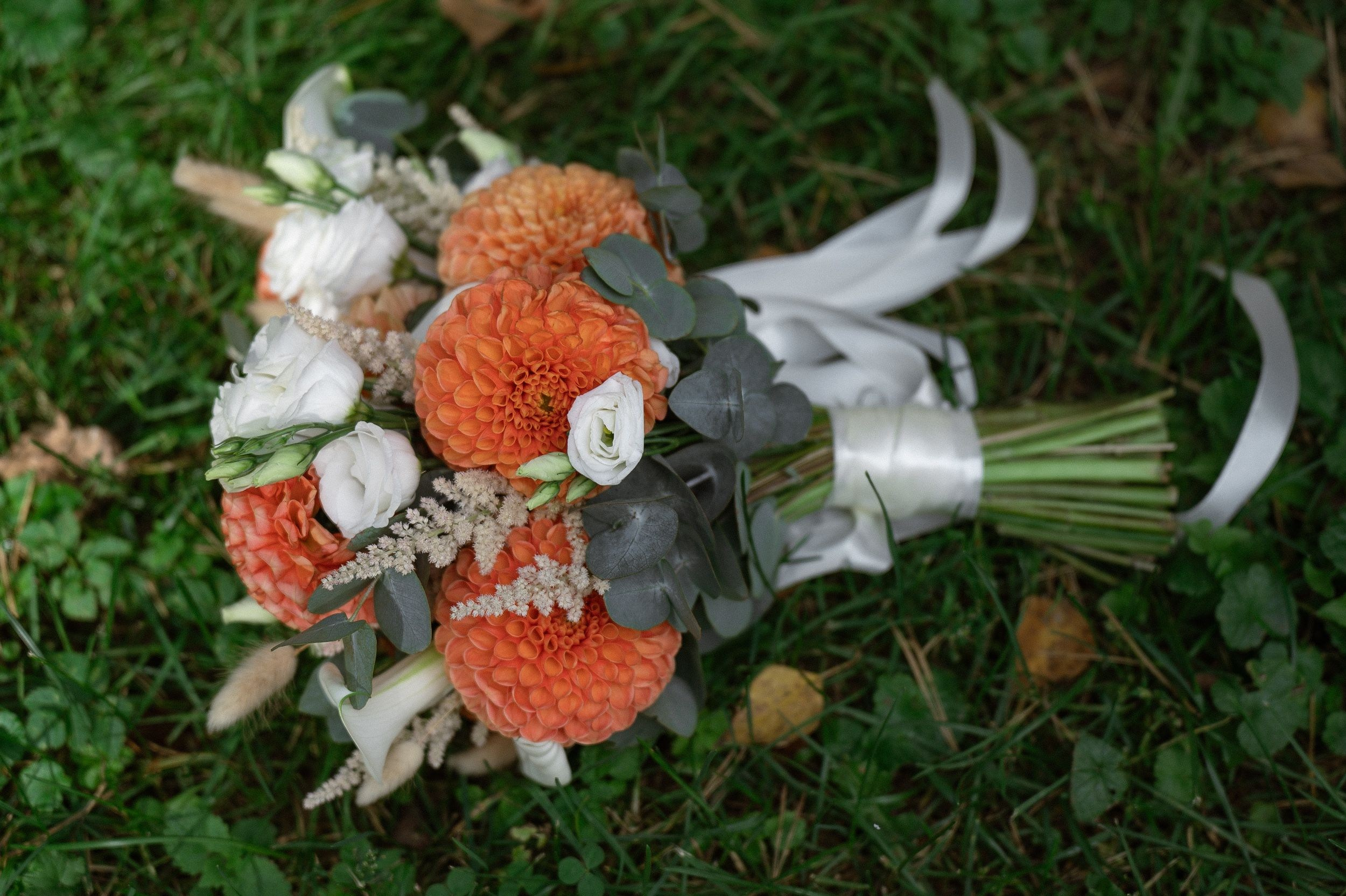 Андрей и Полина. Организация и координация свадебных и семейных торжеств