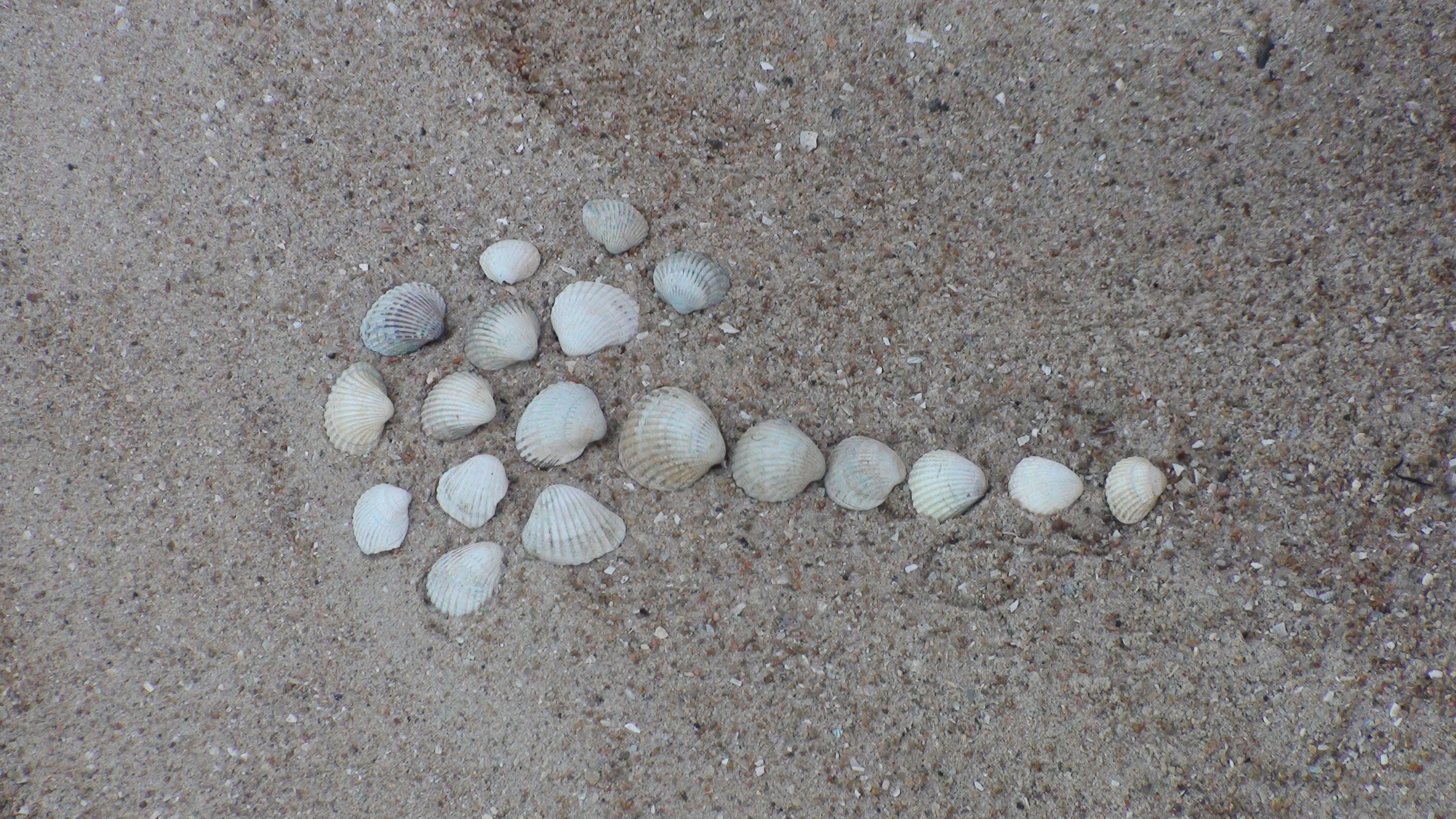 Украина 05.07.2013. Семейный, Свадебный фотограф СПБ Питер— Романова Екатерина