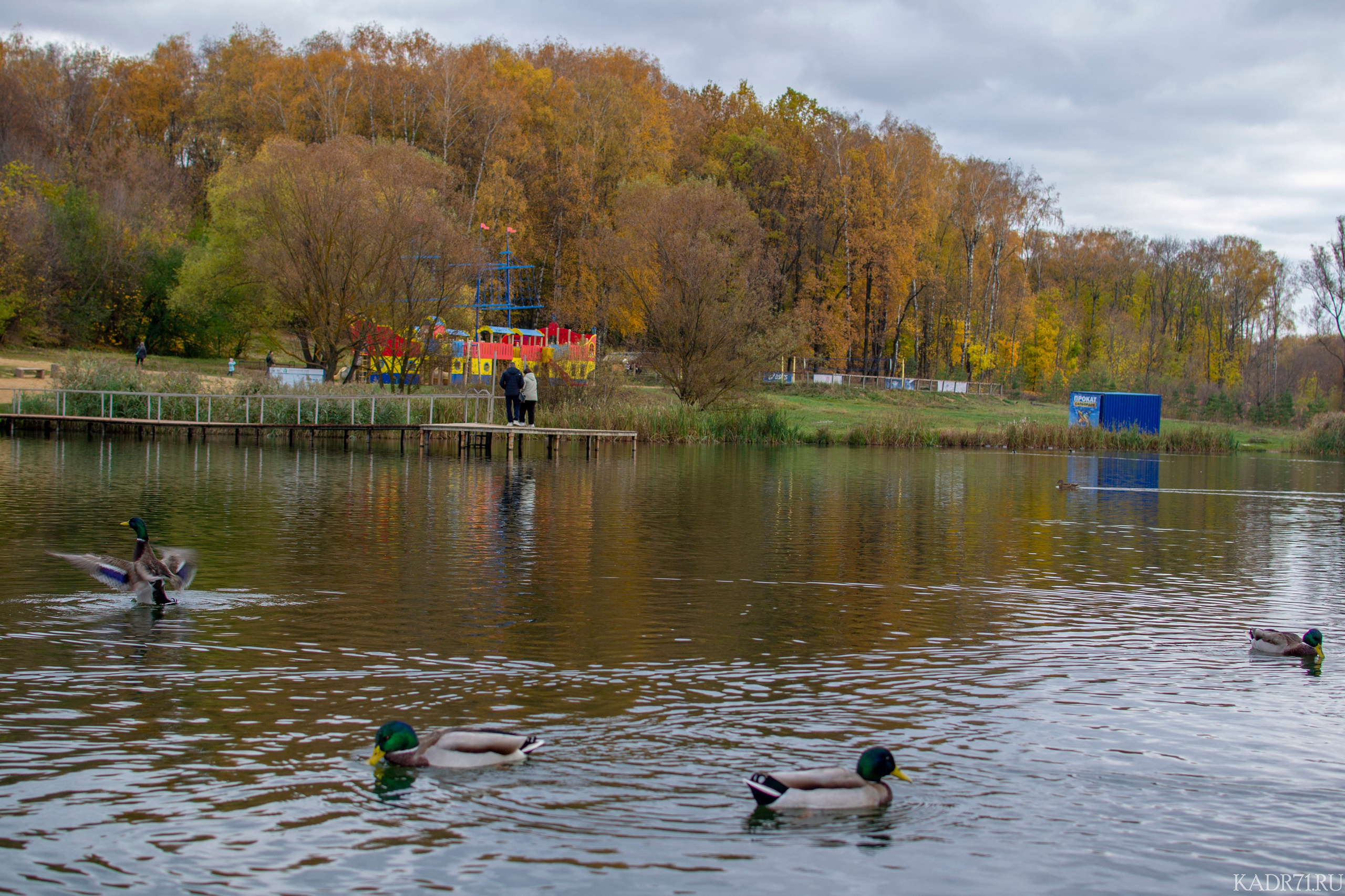 Центральный парк культуры и отдыха им. П. П. Белоусова. Фотограф в Туле Крупский АнДРей. Фотостудия «КАДР71» в Туле