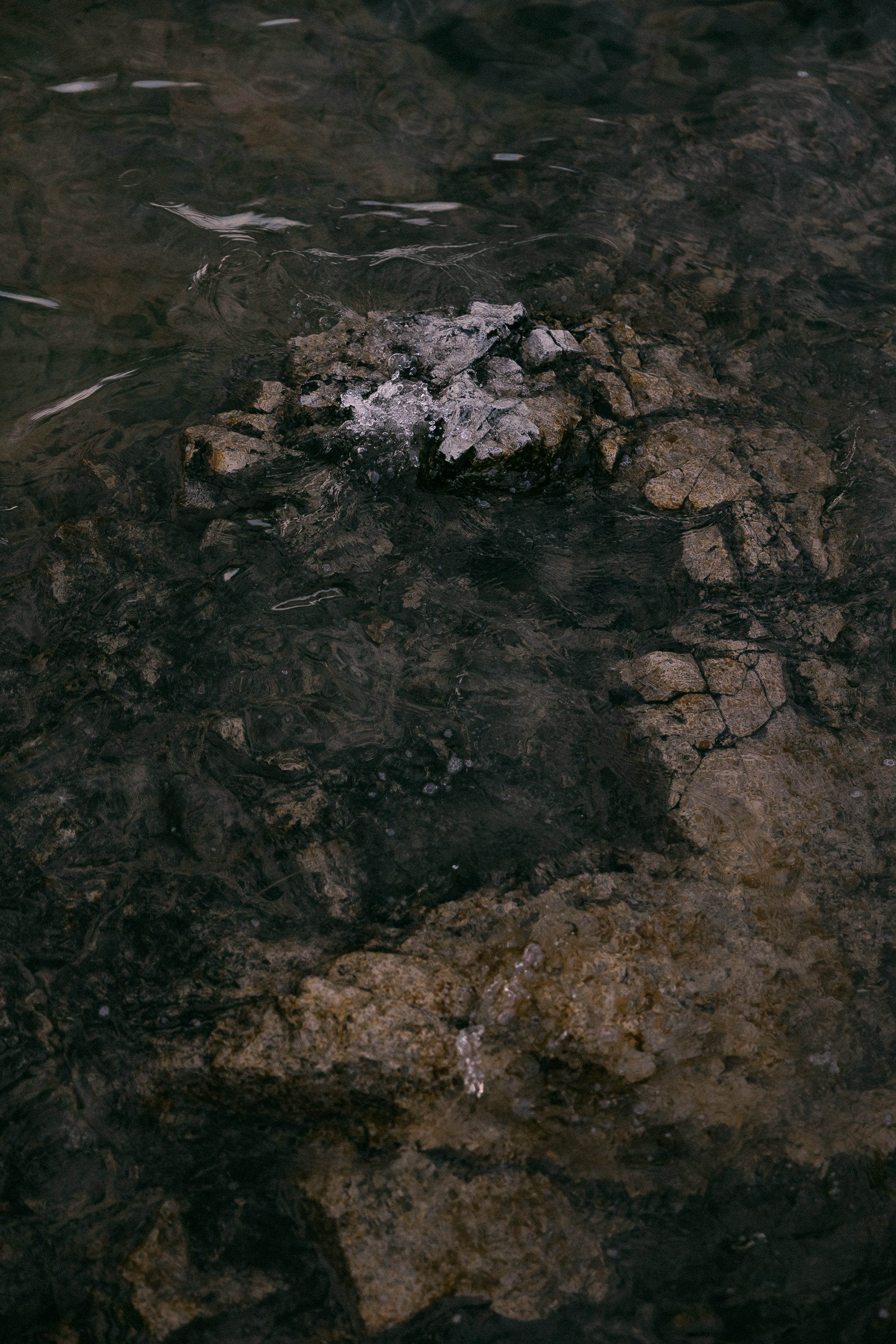 Бренд одежды ENSO. Репортажный фотограф Макс Брагин