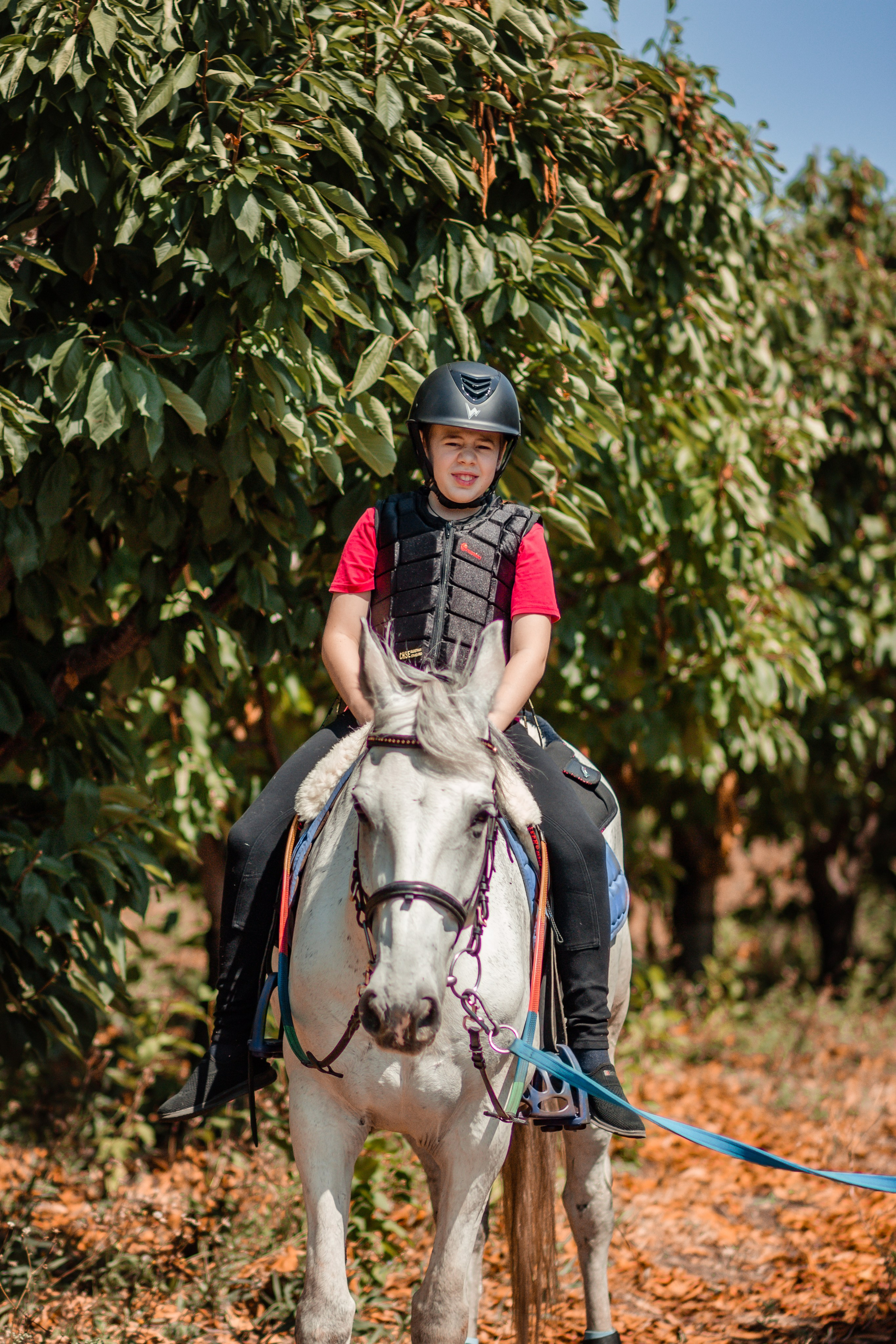 Выезды в поля на лошади