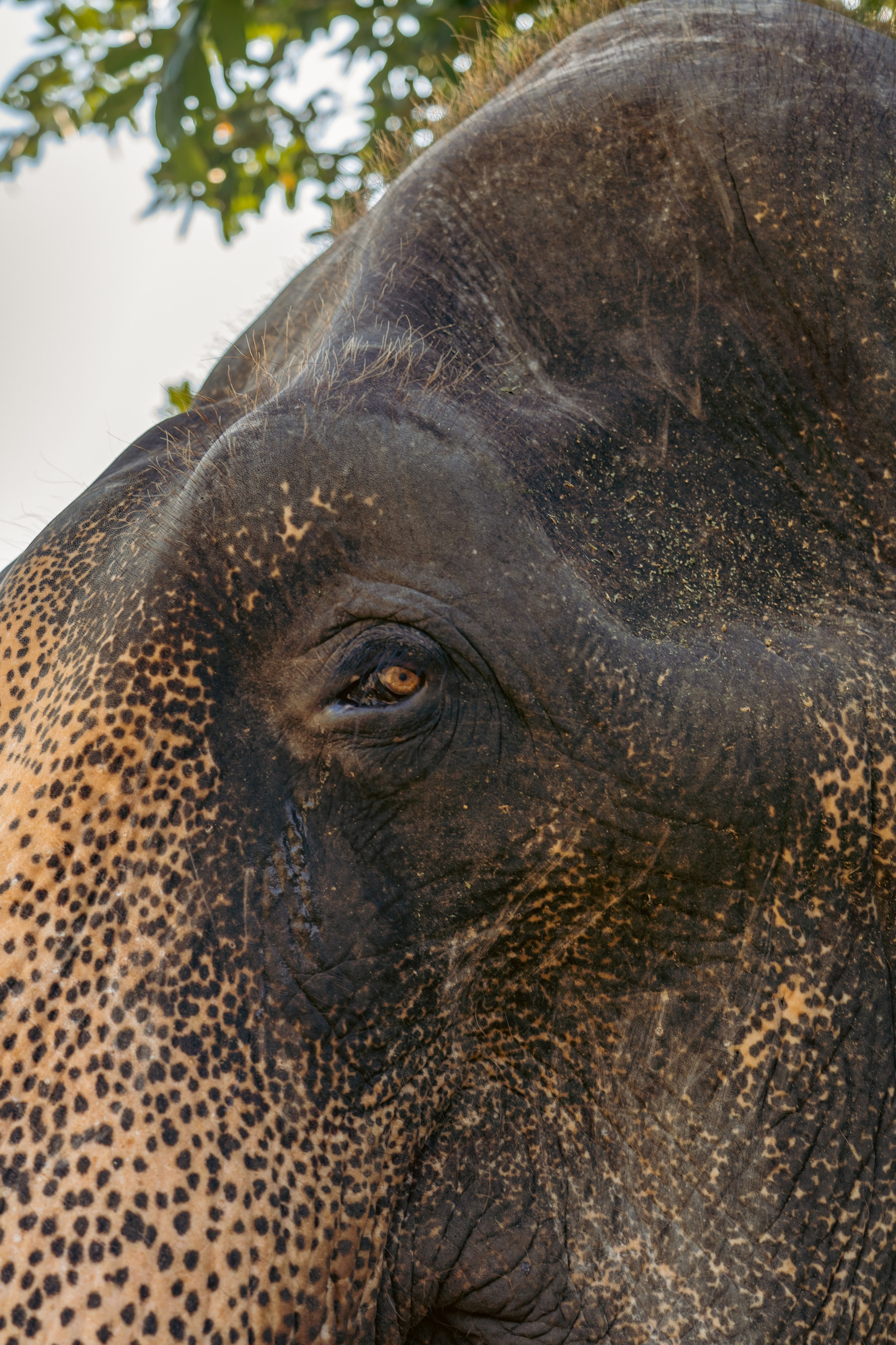 Promo content shooting for Ceylon Forward Tours