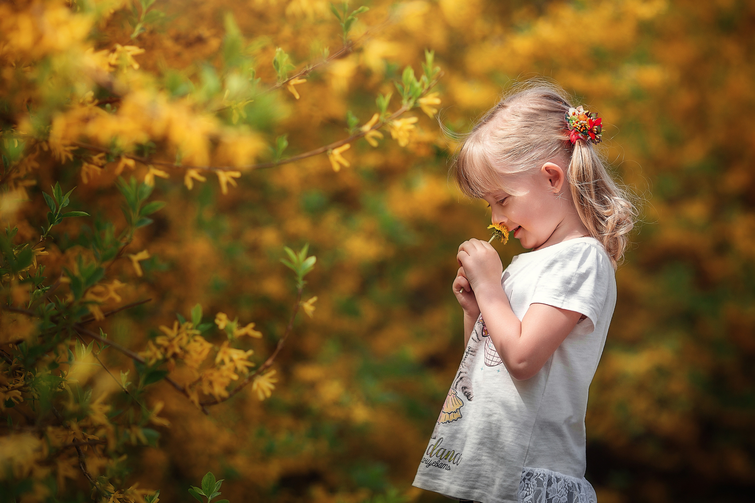 Форзиция АПРЕЛЬ–МАЙ. Семейный и детский фотограф |Брянск| Анастасия Перепелкина