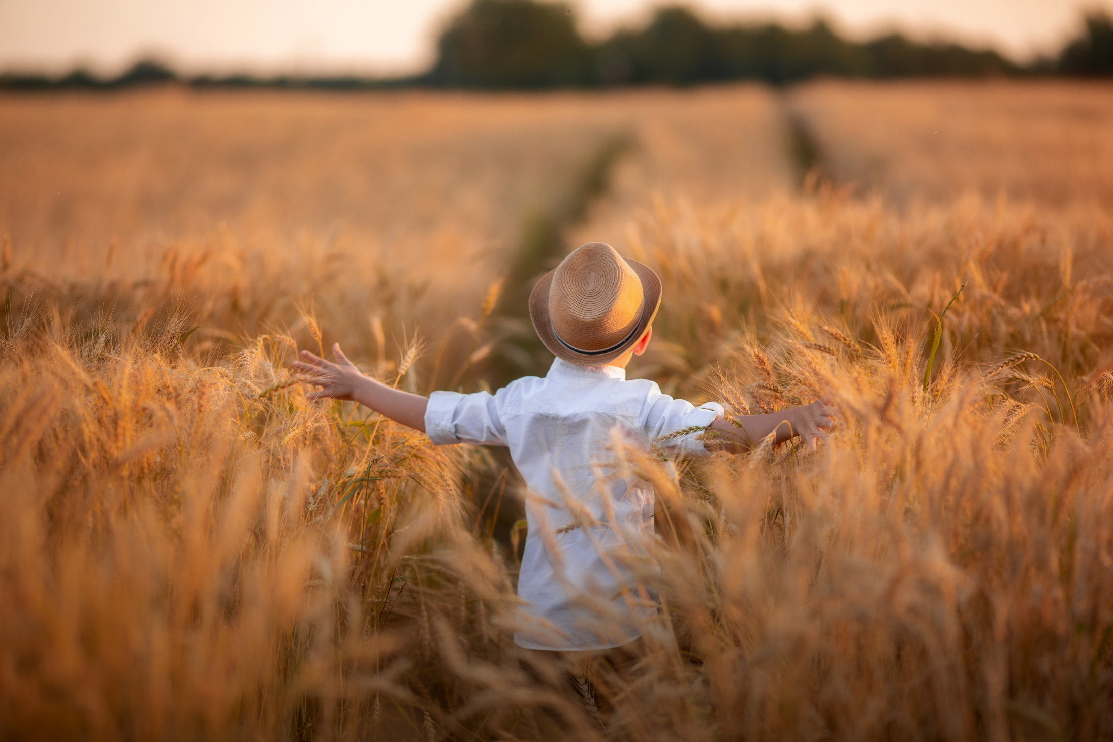 Пшеничные и ржаные поля ИЮЛЬ–АВГУСТ. Семейный и детский фотограф |Брянск| Анастасия Перепелкина
