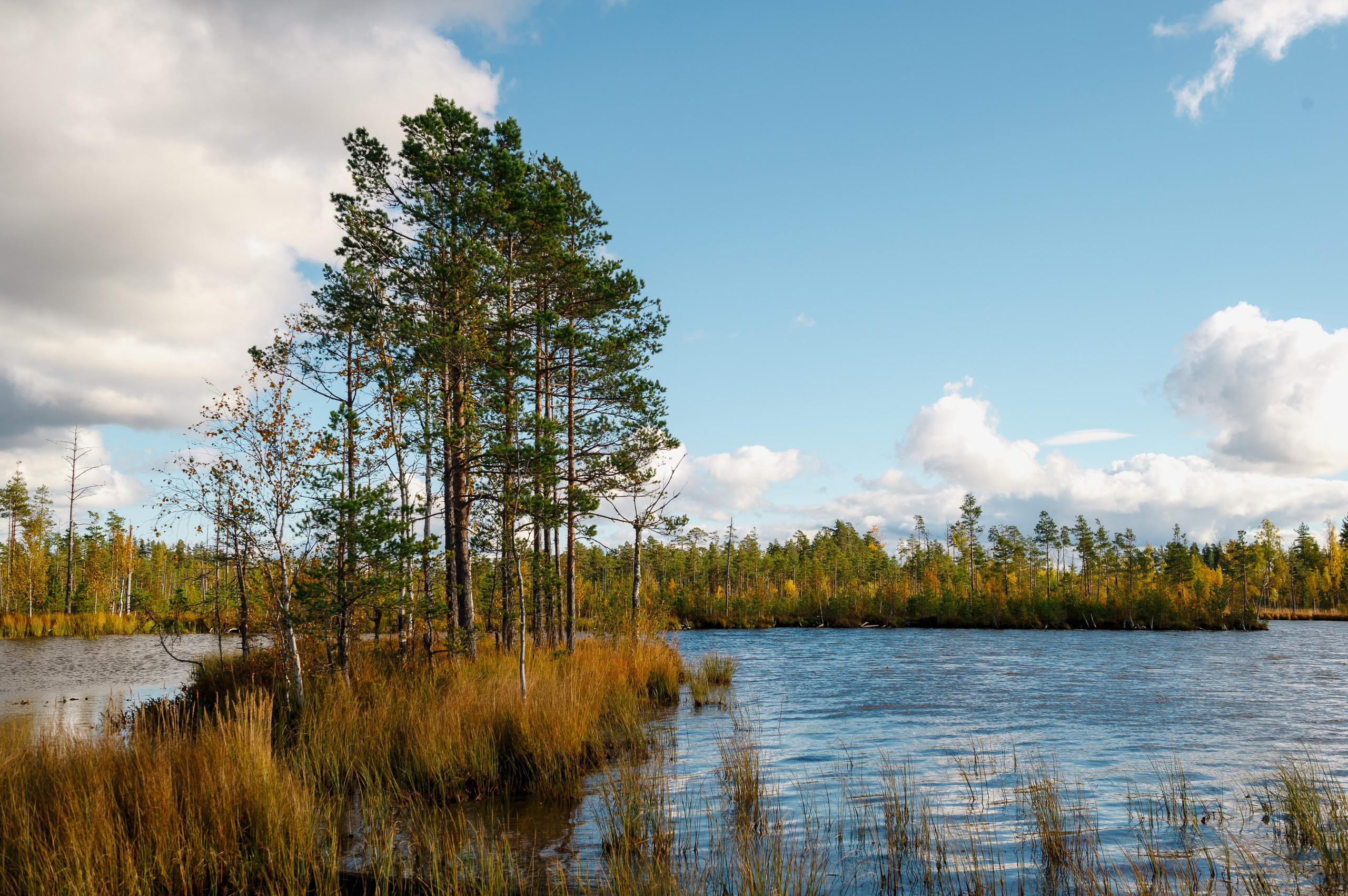 Кубок СПб по трофи-рейдам 04-06.10.2024 — день 1. Фотограф Алексей Алексеев