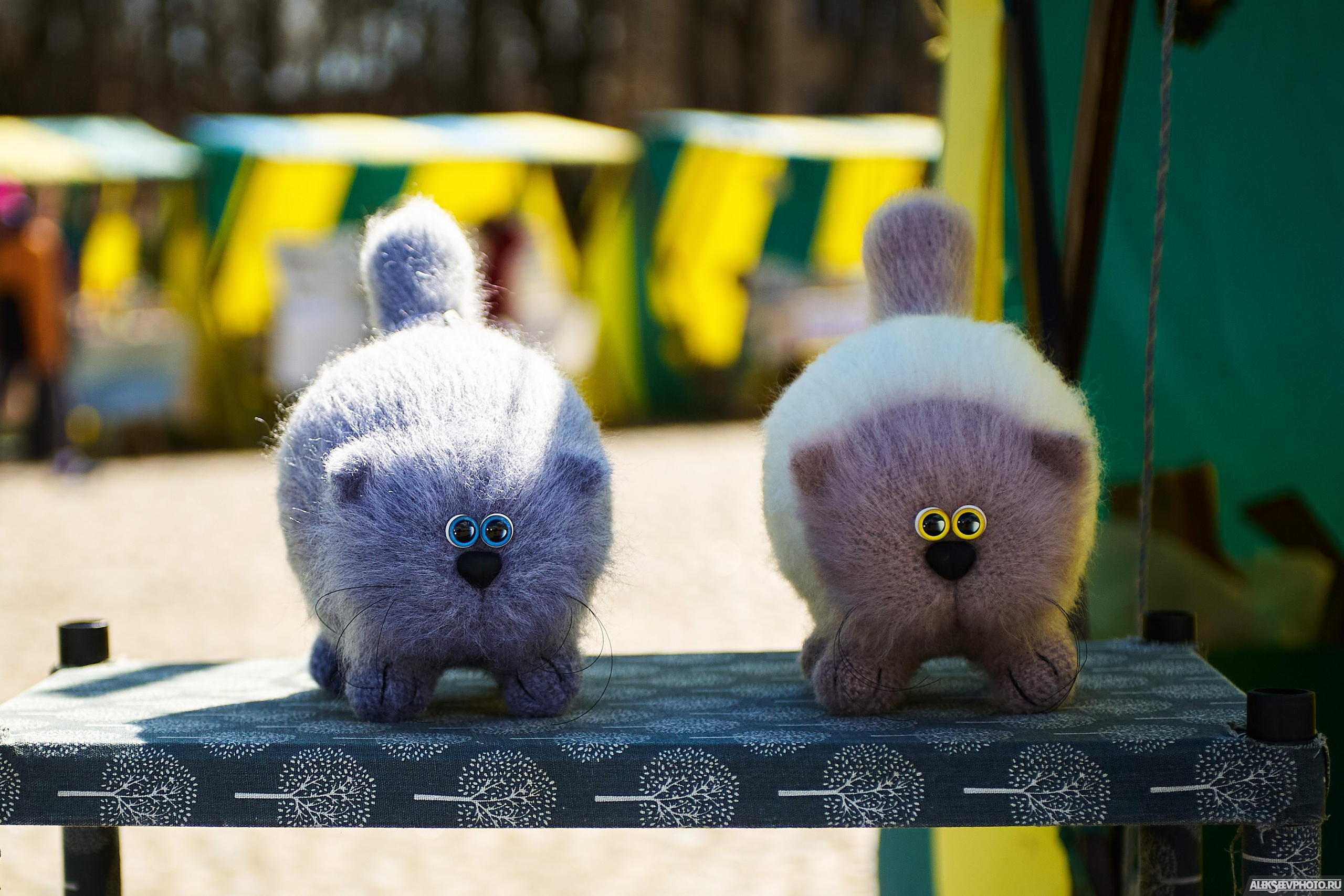 2021.05. Фотограф Алексей Алексеев