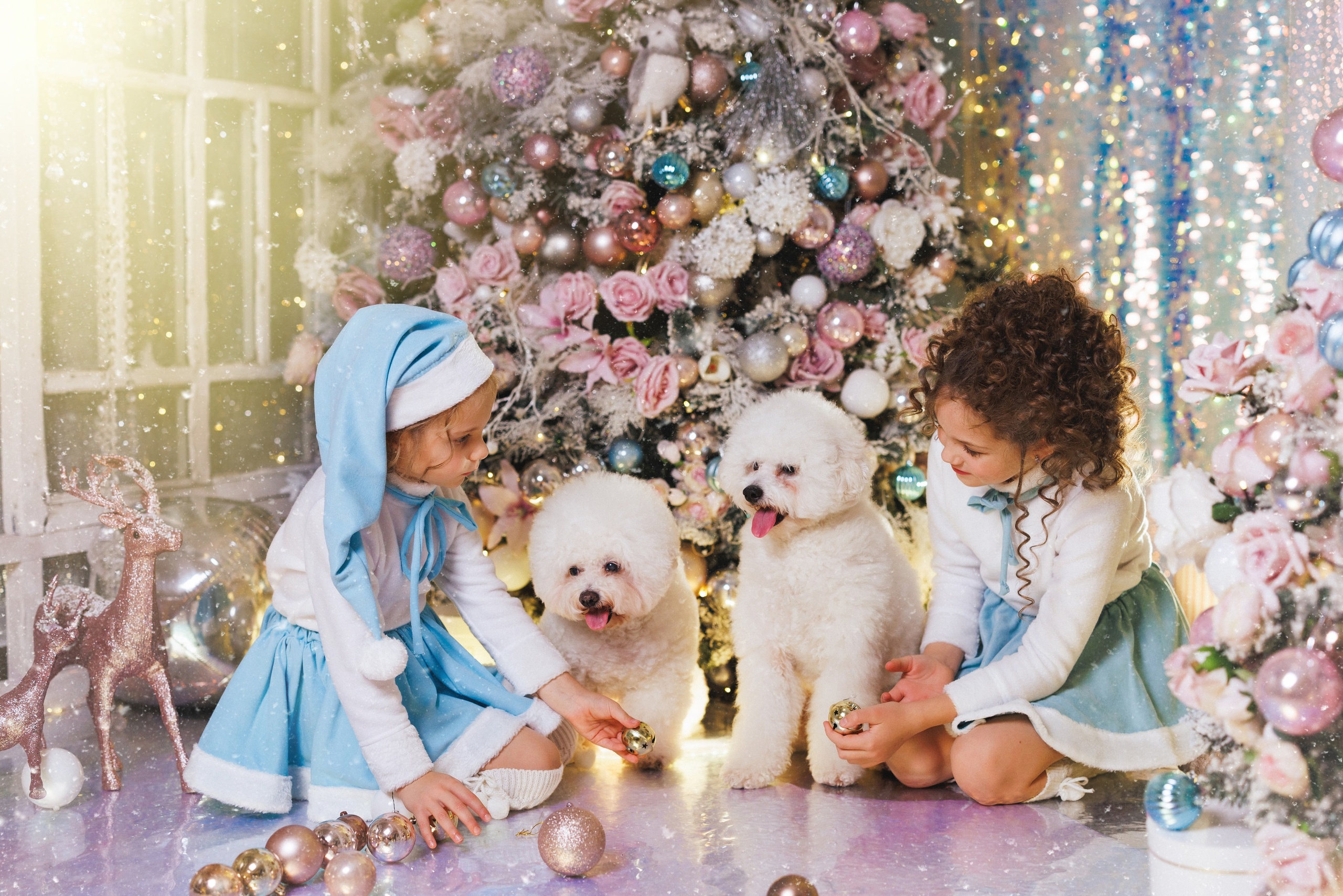 Новогодняя фотосессия в фотостудии «Авторская», город Краснодар. Семейный и детский фотограф в Краснодаре Анна Трашкова
