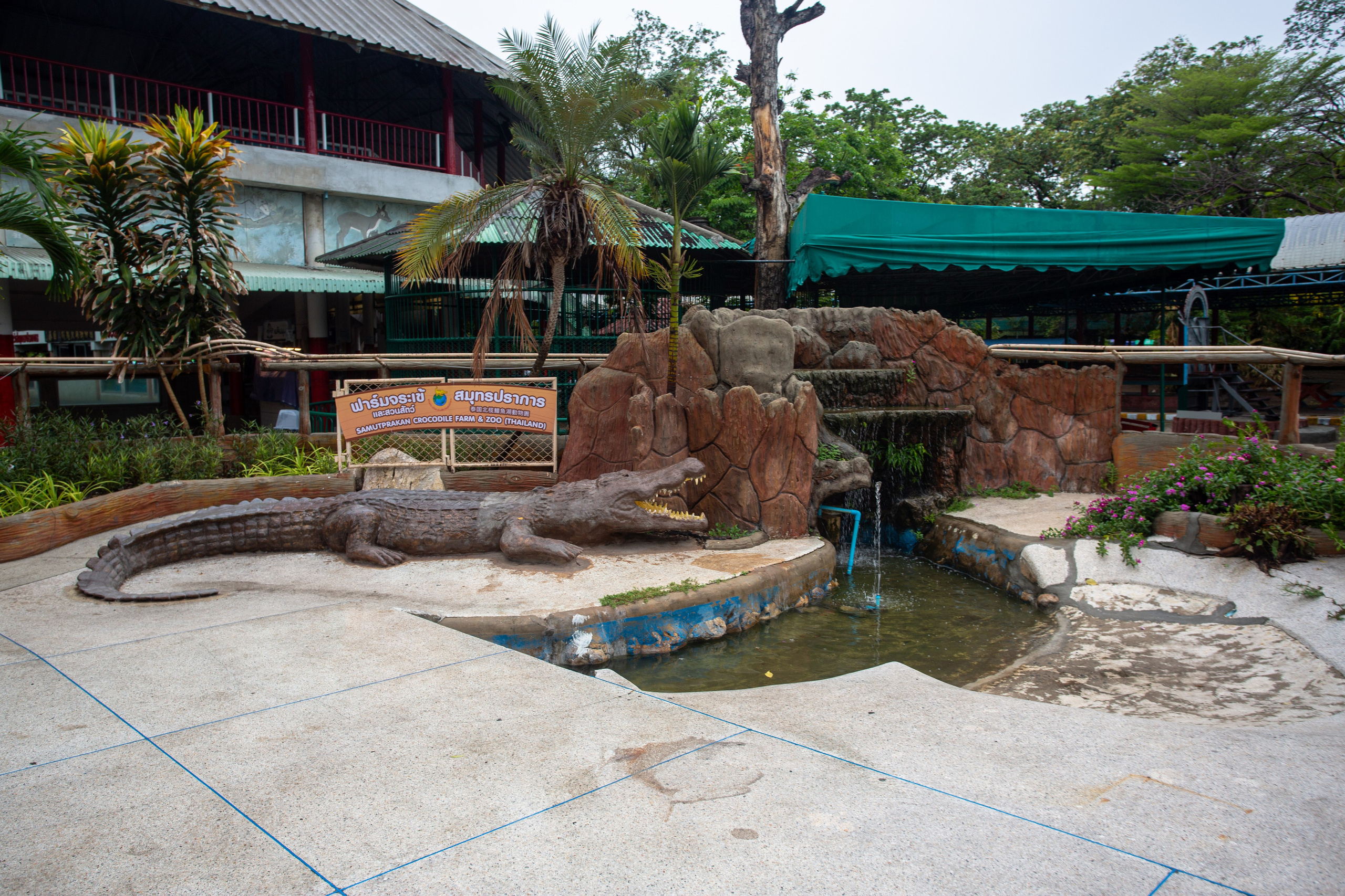 Samut Prakan Crocodile Farm & Zoo. Photographer Sonkina Tatiana (Tanya Ash)