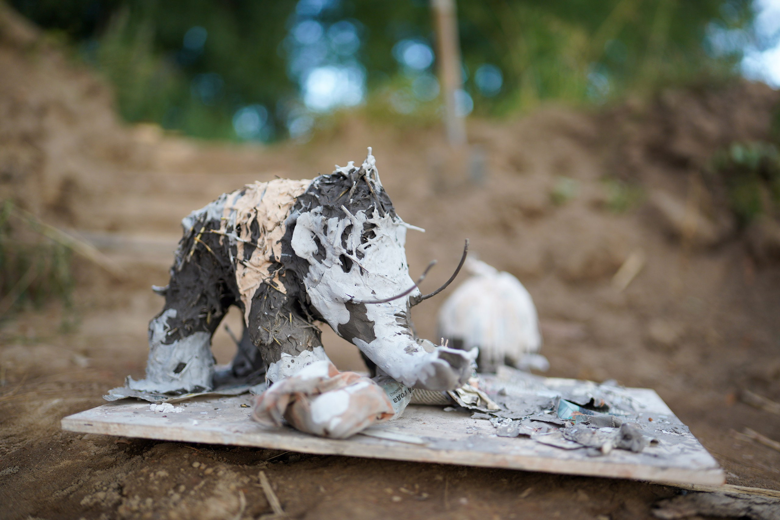 Wild fire 2024 — Дикий огонь 2024