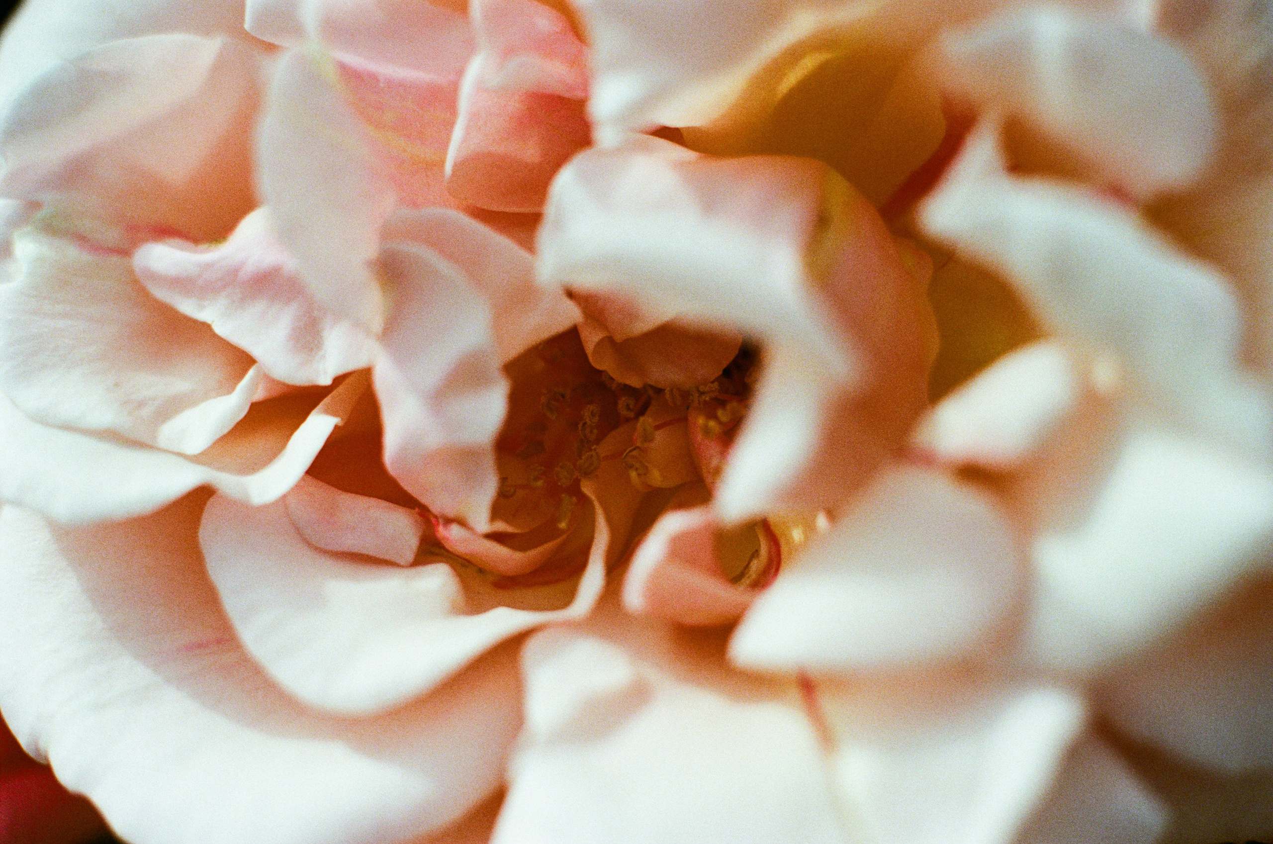 Point of no reply // ukraine, crimea VI. EVER EXPOSED