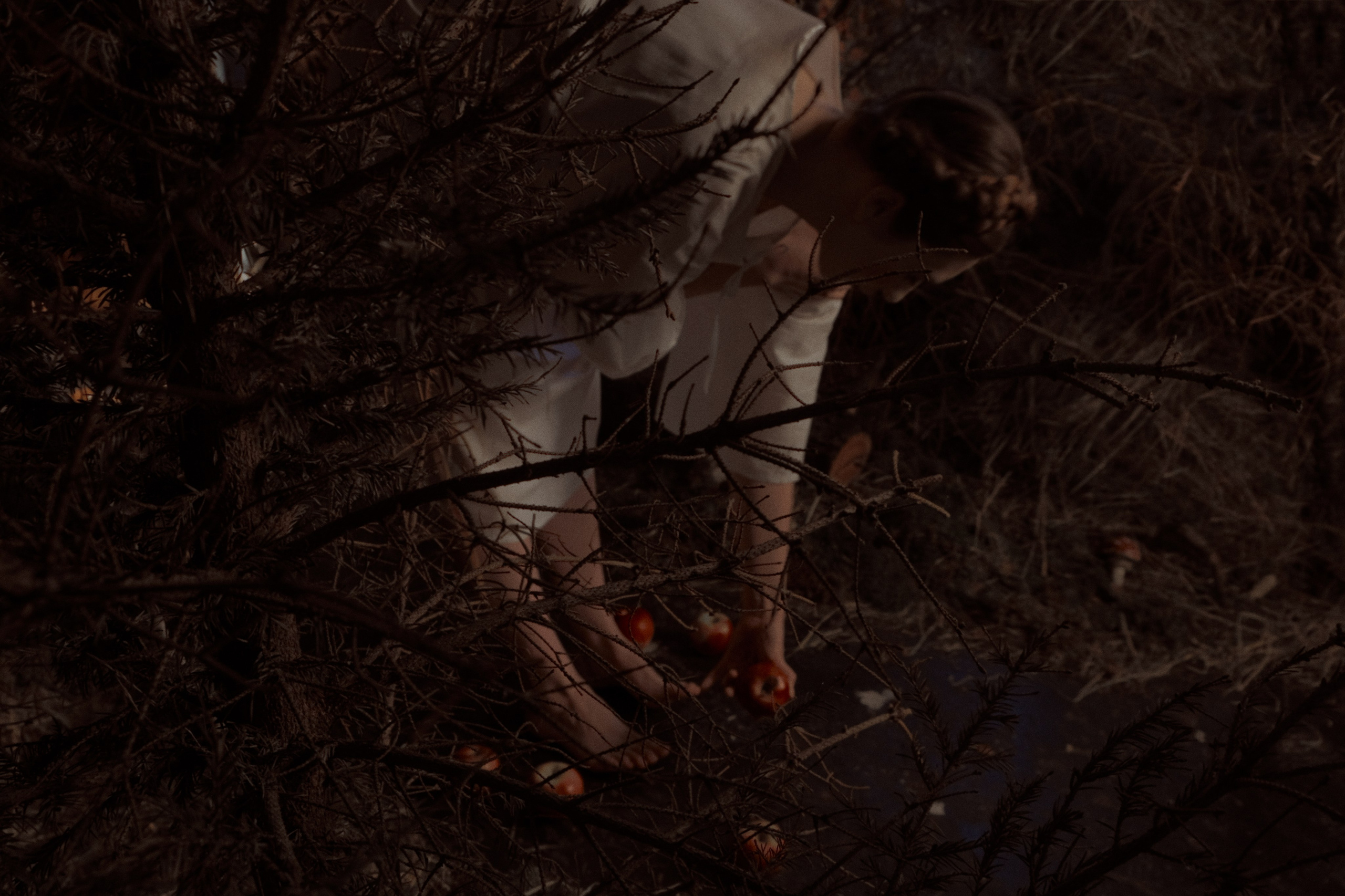 Гуси Лебеди. Фотограф Настя Лев