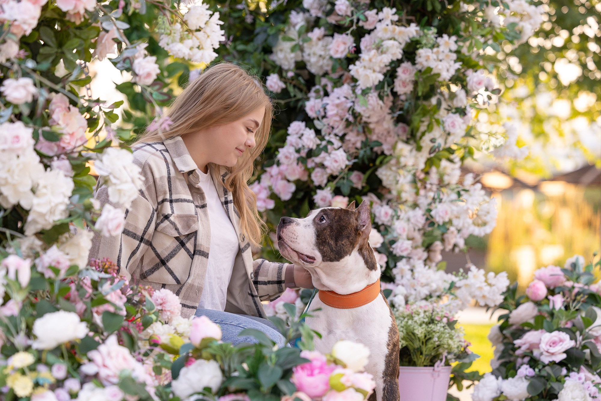 Амстафф Честер и его семья. Фотограф-анималист Natalia Deingel | Фотосъемка собак в Москве