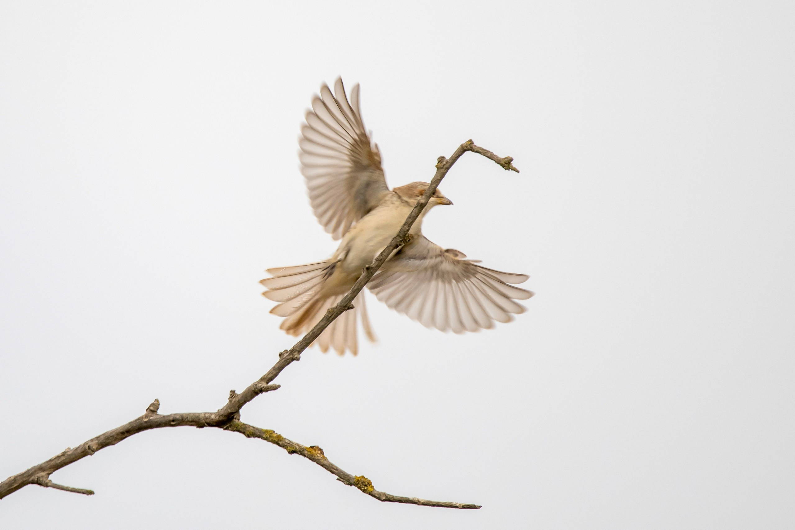 Природа Дагестана, сентябрь 2024. Foto-Zuev фотография как искусство