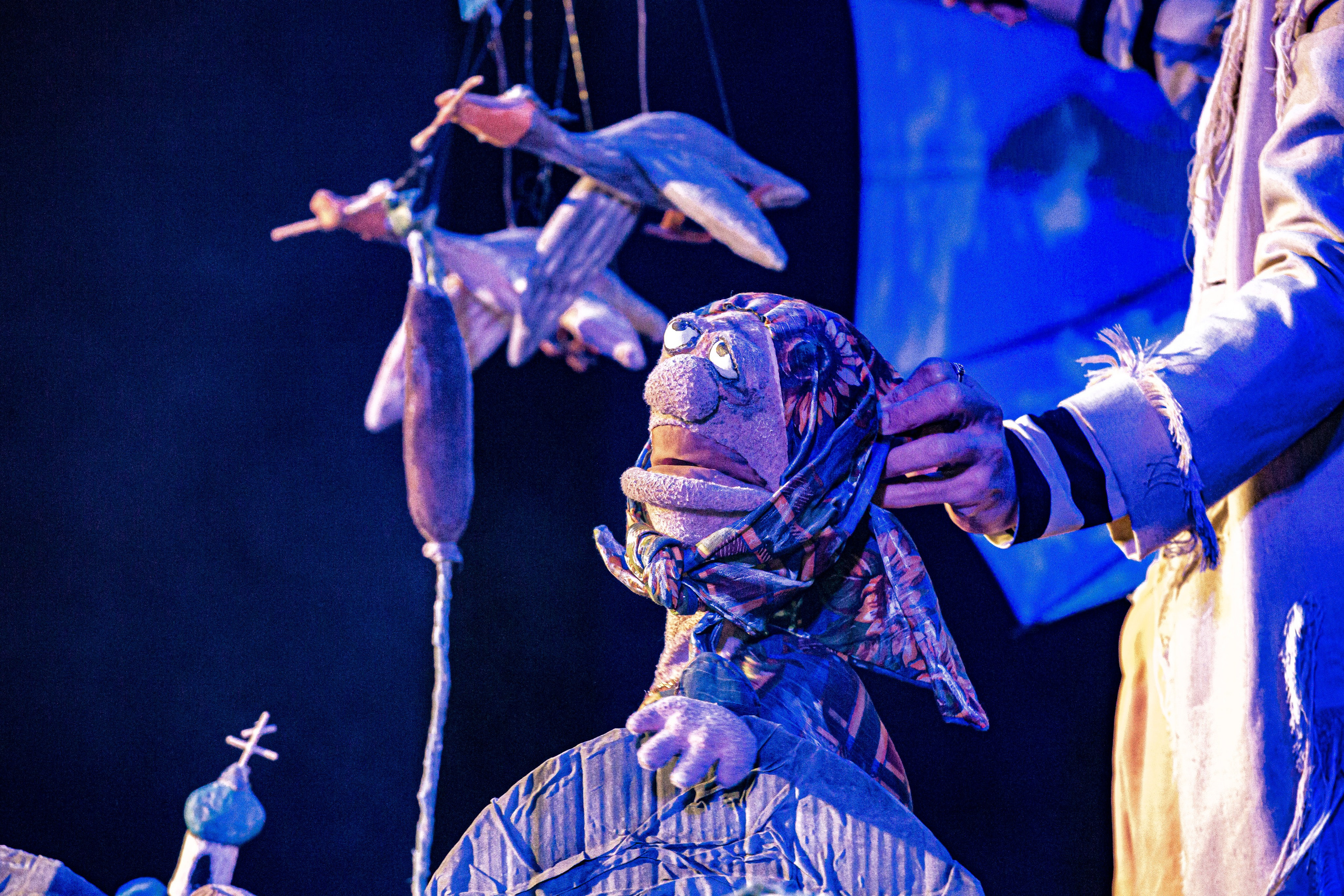 Спектакль театра Саквояж Лягушка путешествиница. Фотограф в Сочи Юрий Шептаев