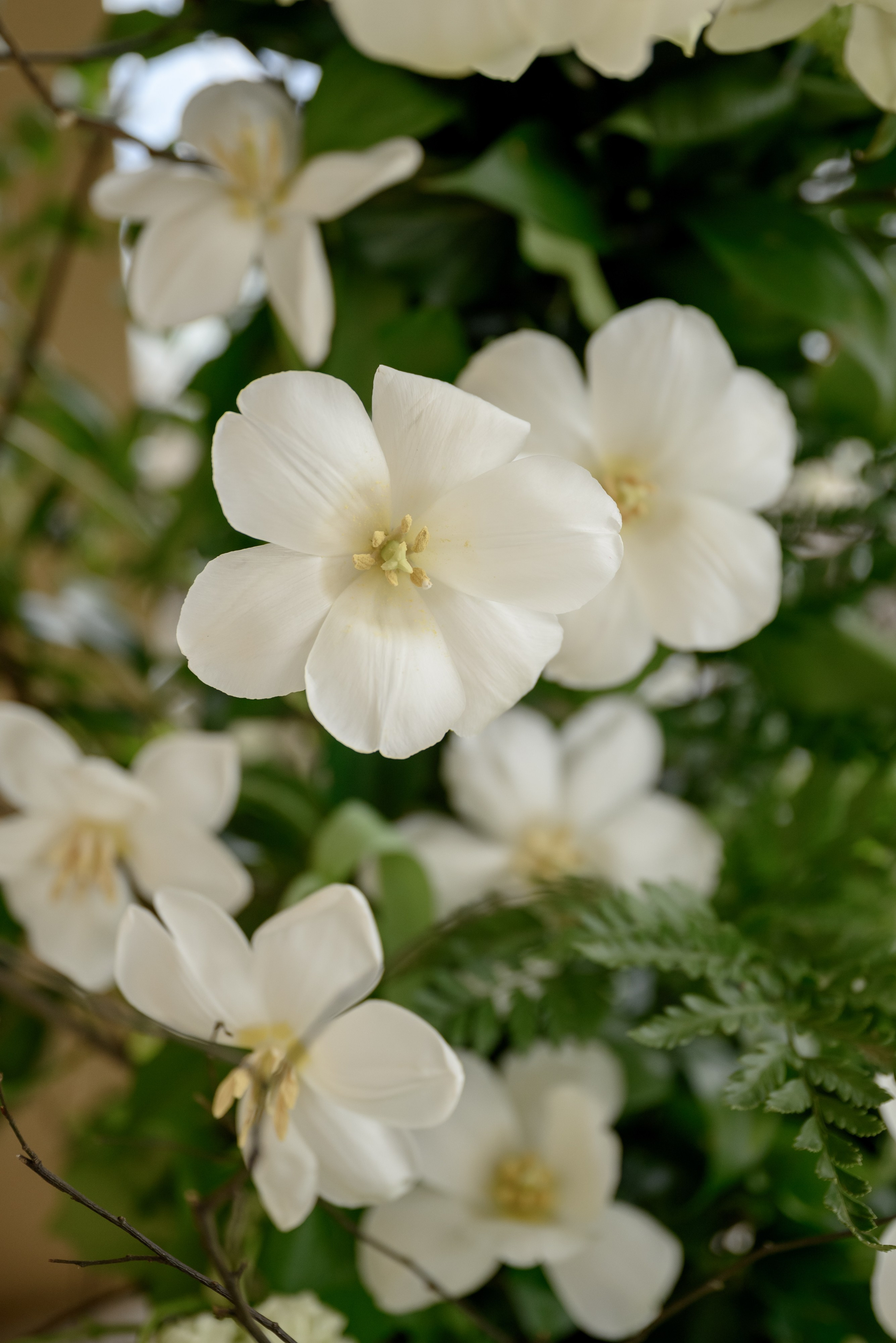 He was a skaterboy. Backpackweddings фотограф и видеограф Ростов-на-Дону Сочи