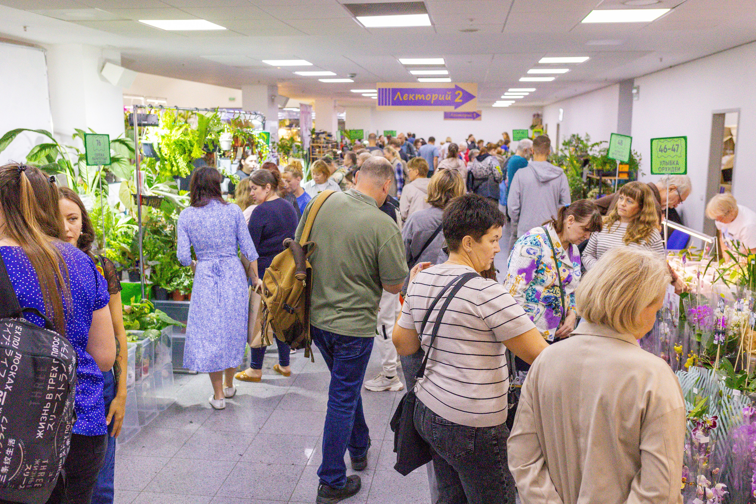 Орхидиум сентябрь 2025. Александра Куликова фотограф, Москва