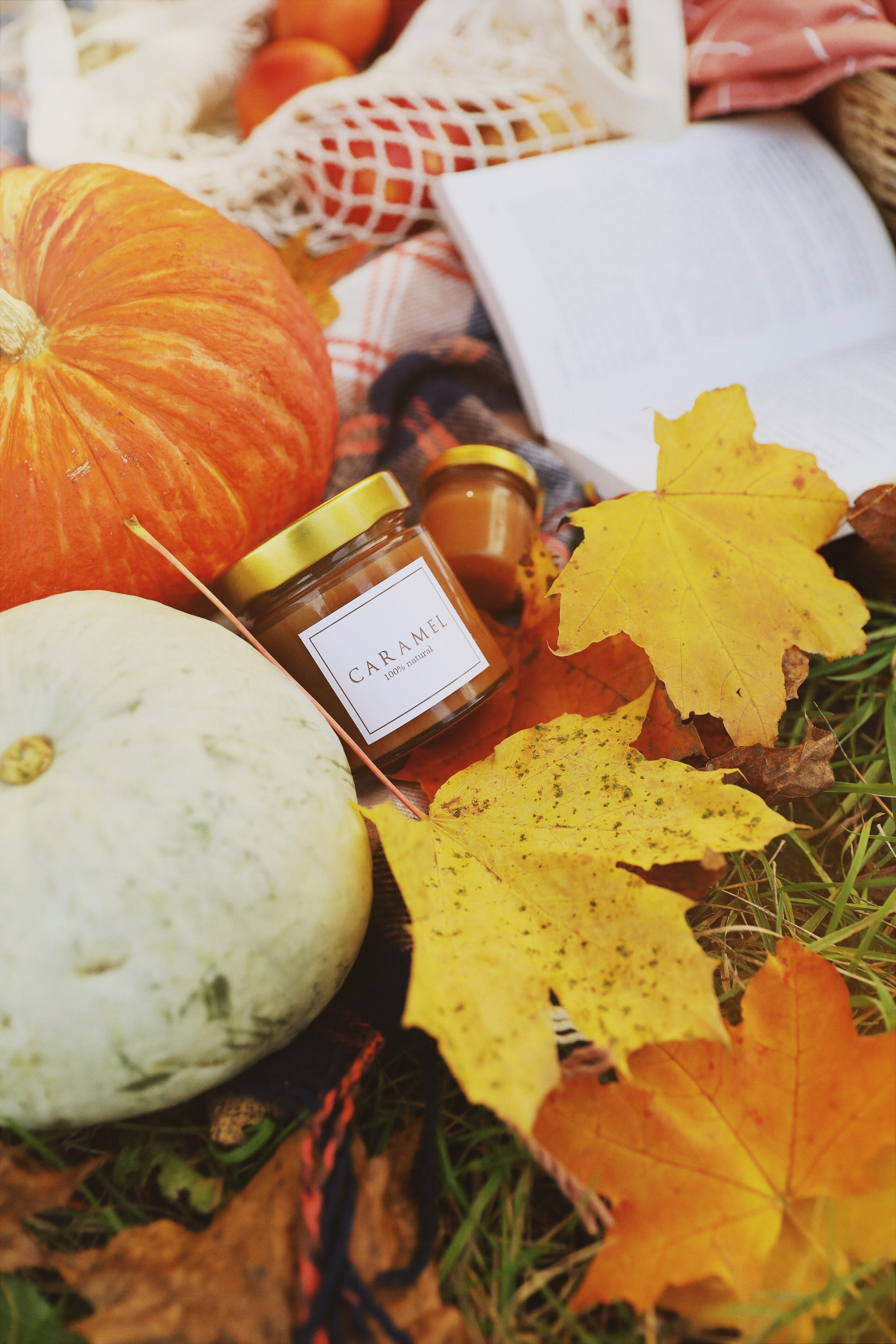 Олеся и Мира. Главная