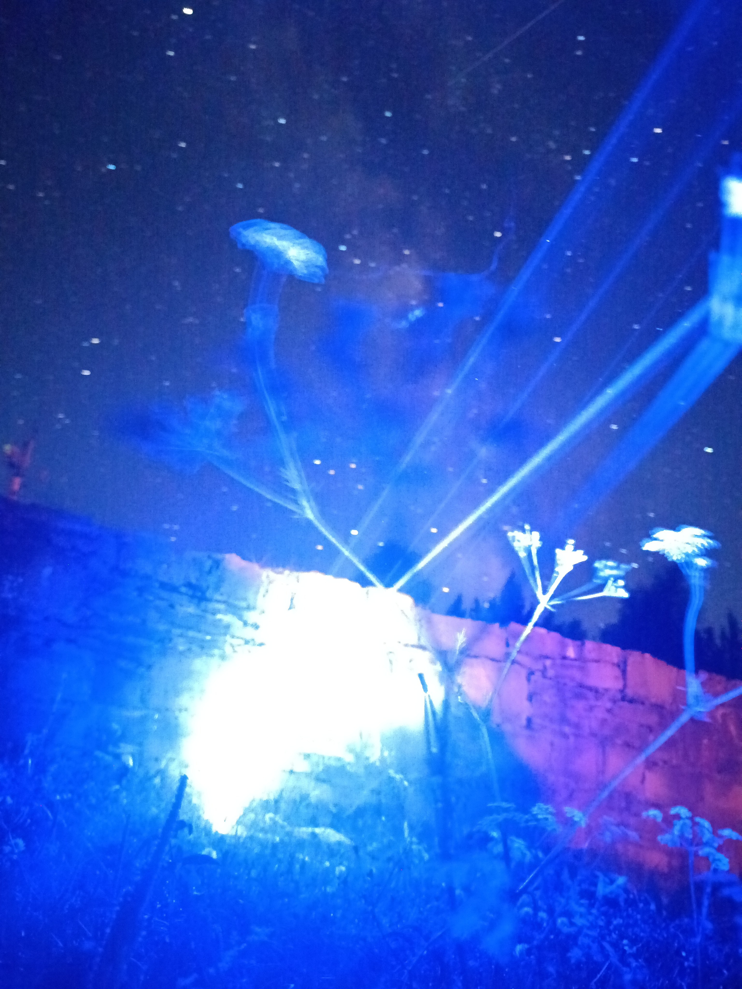 Эльбрус 2023 Маша Саша Дима. Заставка