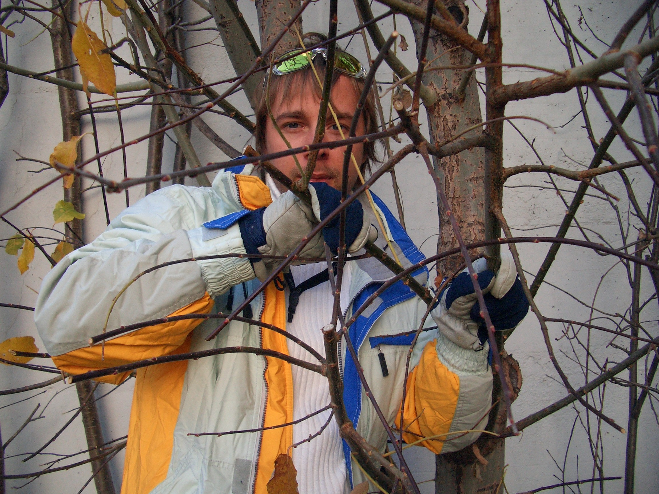 Вериченко лыжи 2004. Заставка