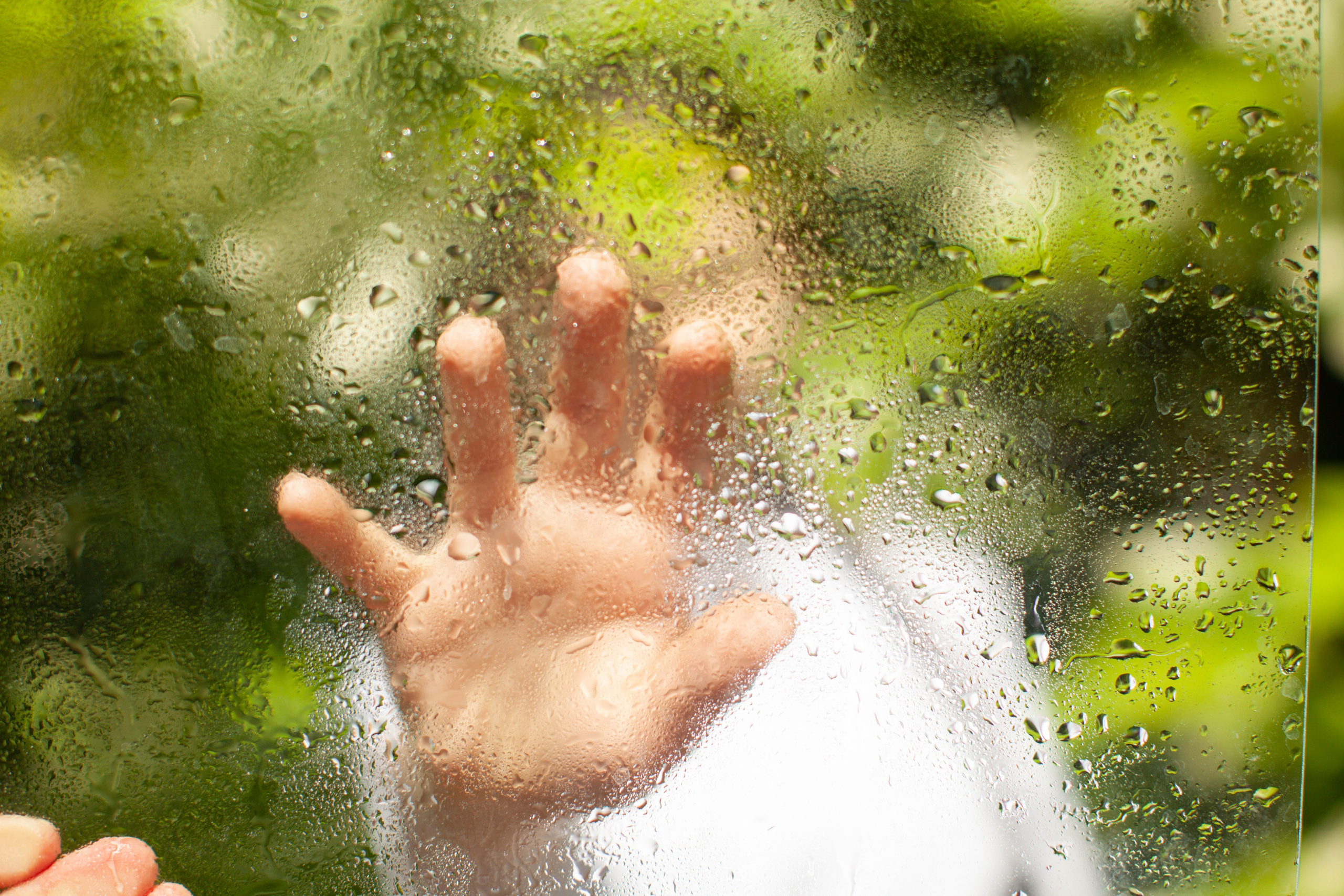 Летний день. Art my Pho