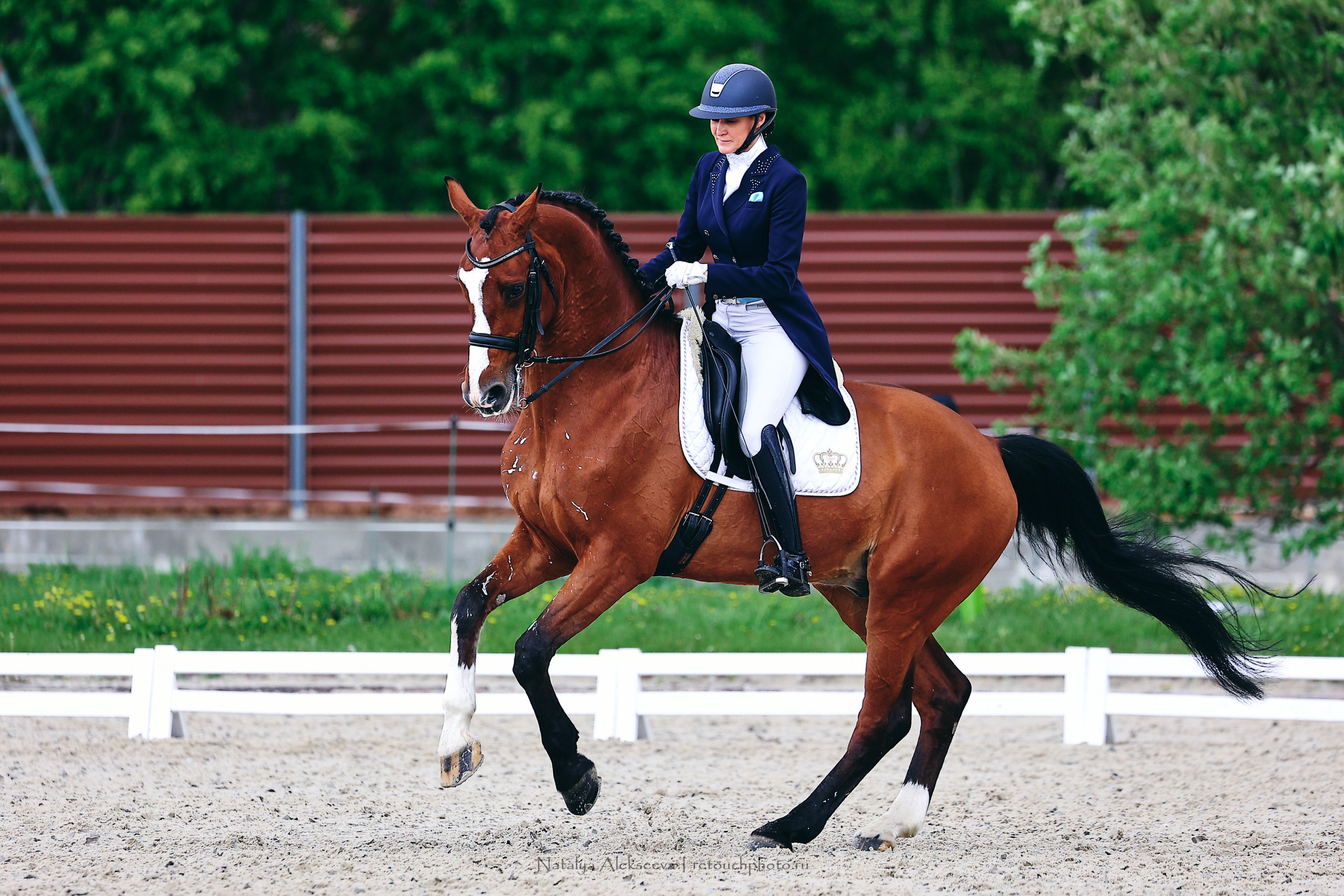 Чемпионат Москвы по выездке, КСК Новый Век | 05'2022. Репортажный фотограф и ретушер в Москве Наталья Алексеева