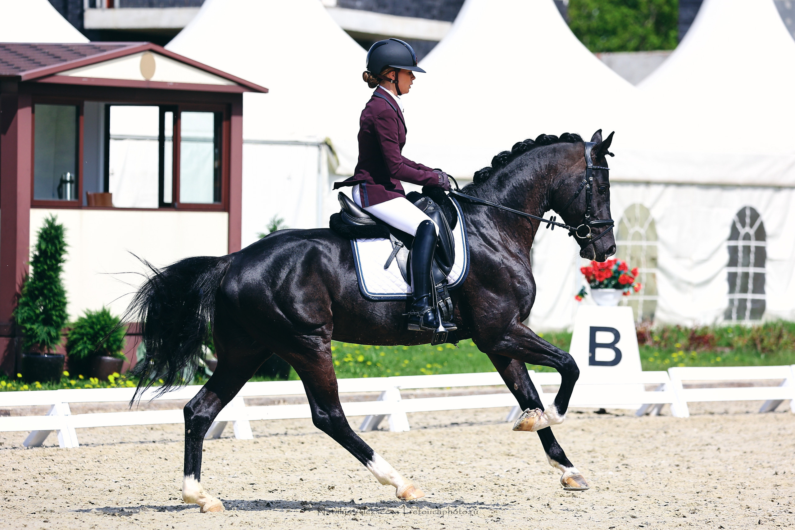 Чемпионат Москвы по выездке, КСК Новый Век | 05'2022. Репортажный фотограф и ретушер в Москве Наталья Алексеева