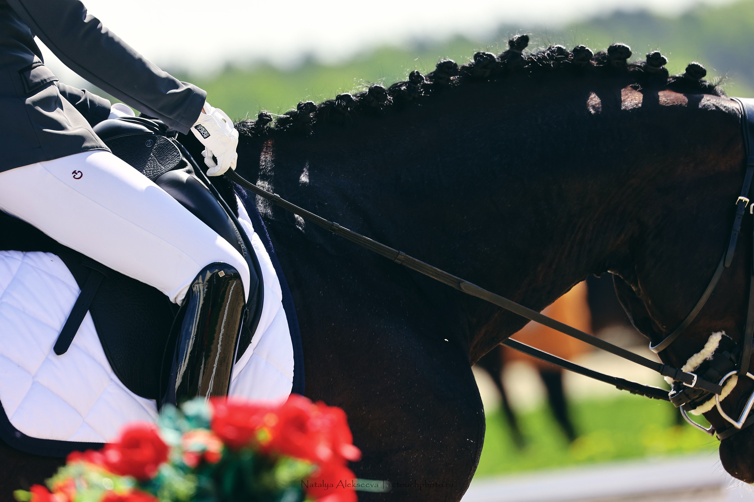 Чемпионат Москвы по выездке, КСК Новый Век | 05'2022. Репортажный фотограф и ретушер в Москве Наталья Алексеева
