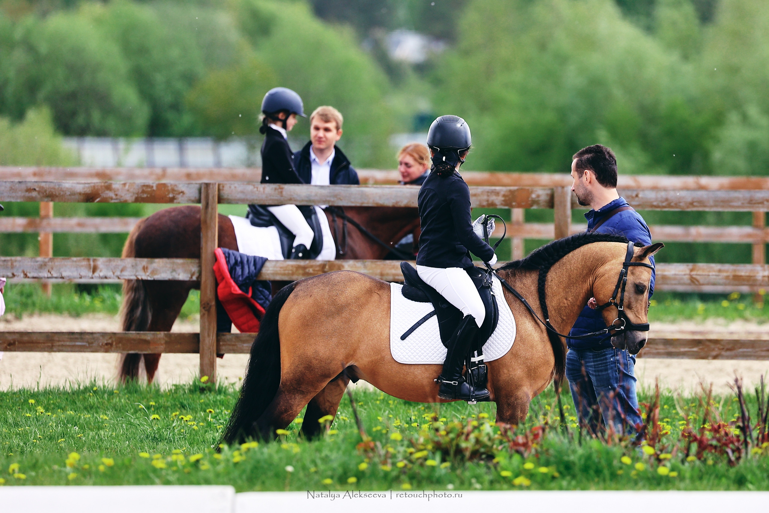 Чемпионат Москвы по выездке, КСК Новый Век | 05'2022. Репортажный фотограф и ретушер в Москве Наталья Алексеева